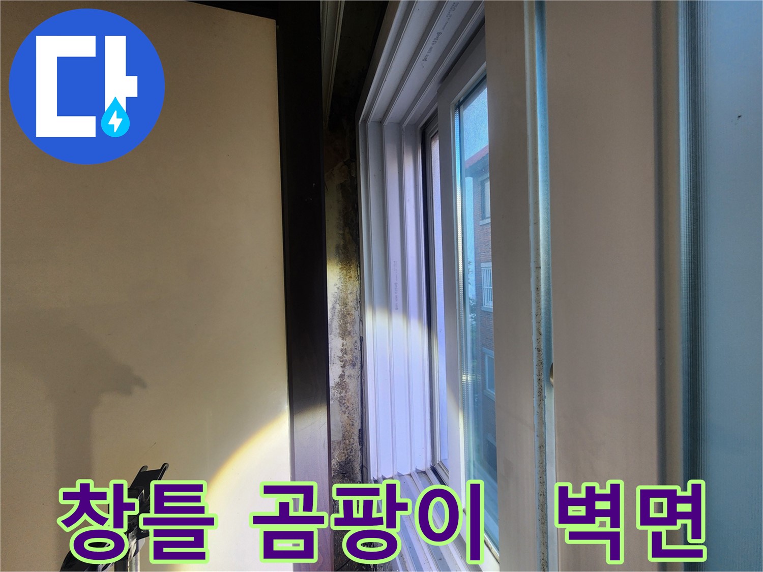 창틀 하단 곰팡이 발생 및 벽면 손상 - 공릉동 누수 긴급 보수 필요