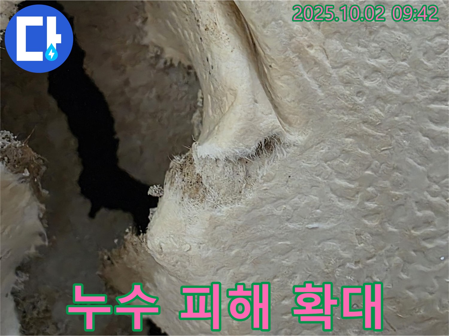 양주시 남면 신산리 주택 누수로 인한 피해 - 천장 손상과 함께 누수가 얼마나 심각한지 보여주는 사진입니다.