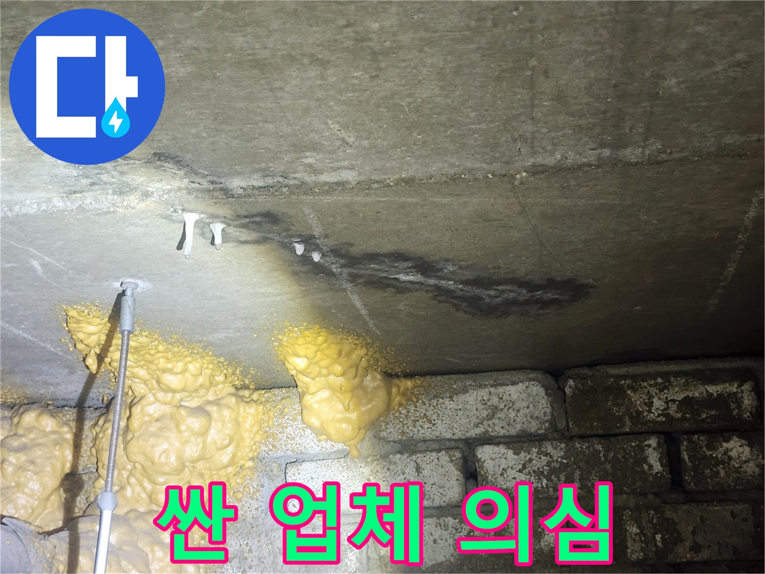 당산동 아파트 누수 - 백화현상 문제, 싼 곳만 찾다 후회할 수 있습니다