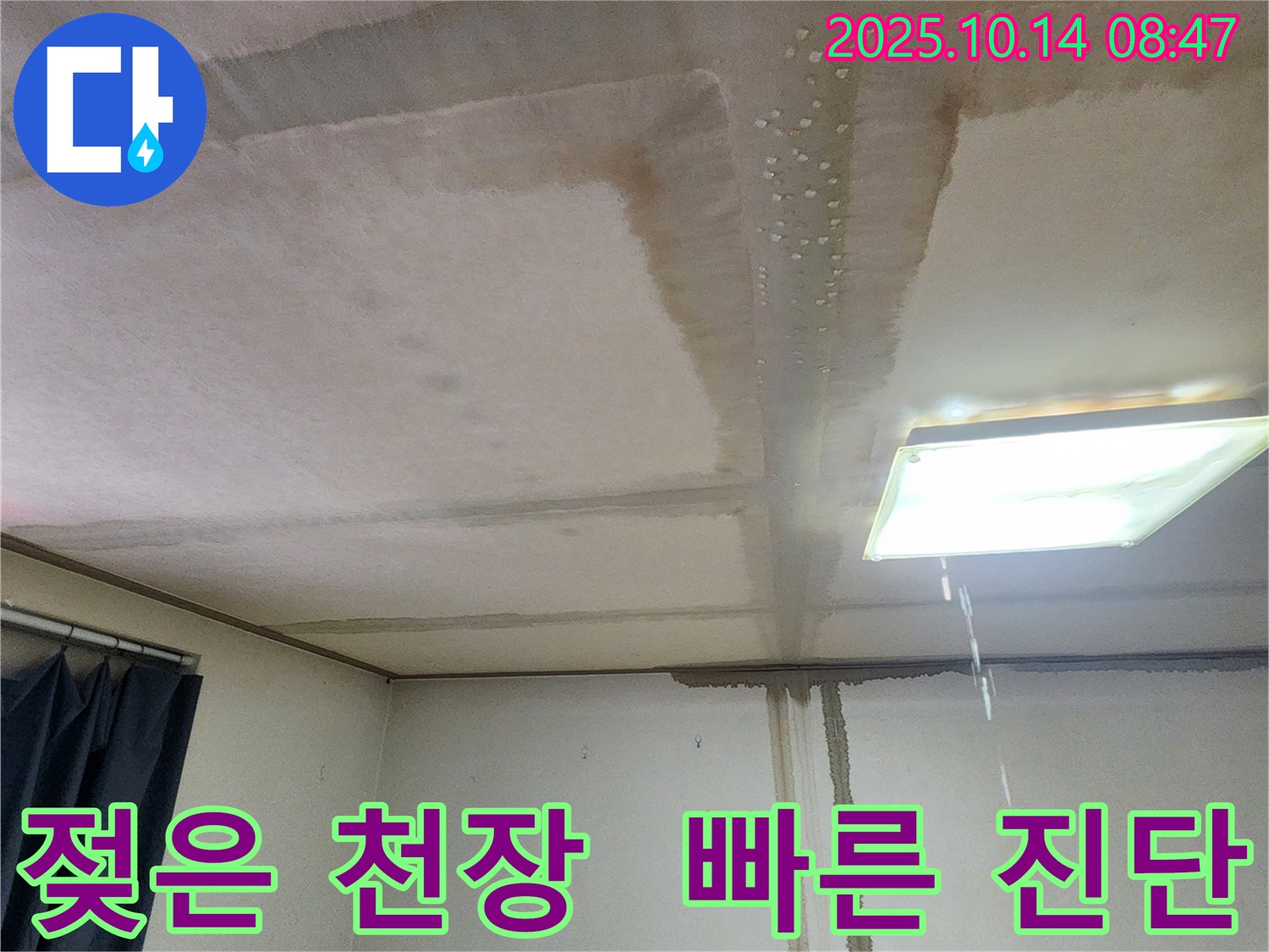 양주시 남면 두곡리 천장 누수 - 젖은 천장, 누수 흔적, 빠른 진단 필수