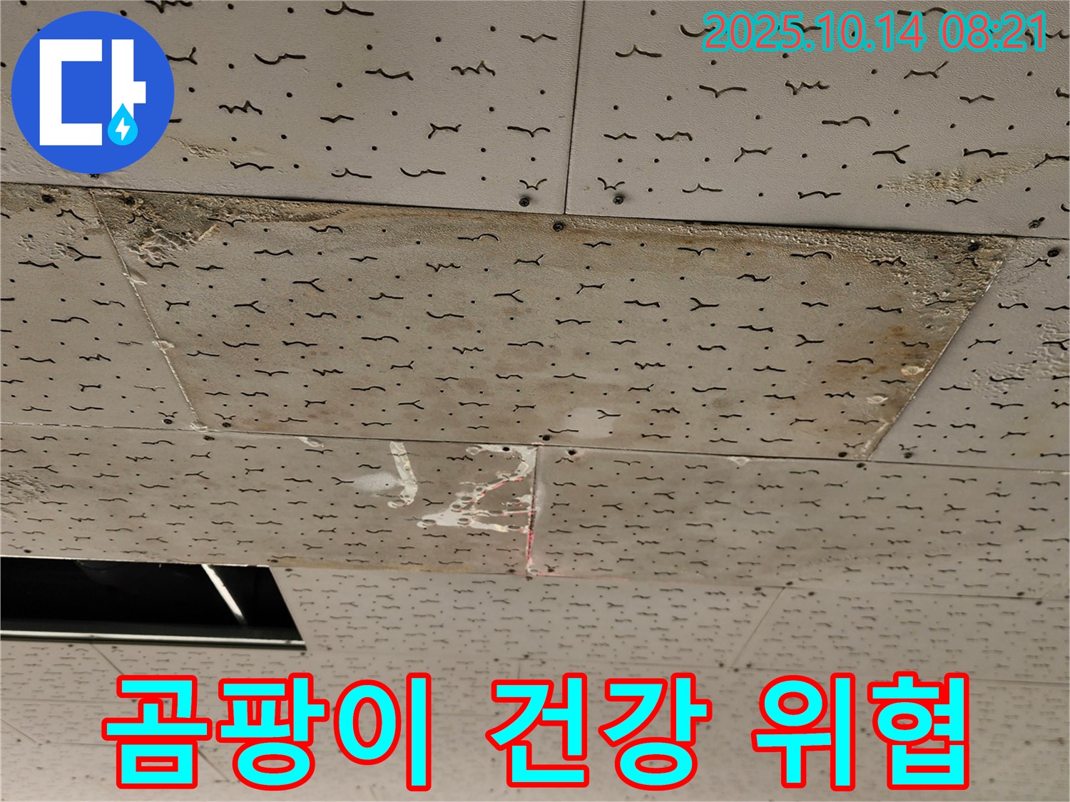 양주시 남면 두곡리 텍스 천장 - 누수와 곰팡이 발생으로 건강이 위협받고 있습니다.
