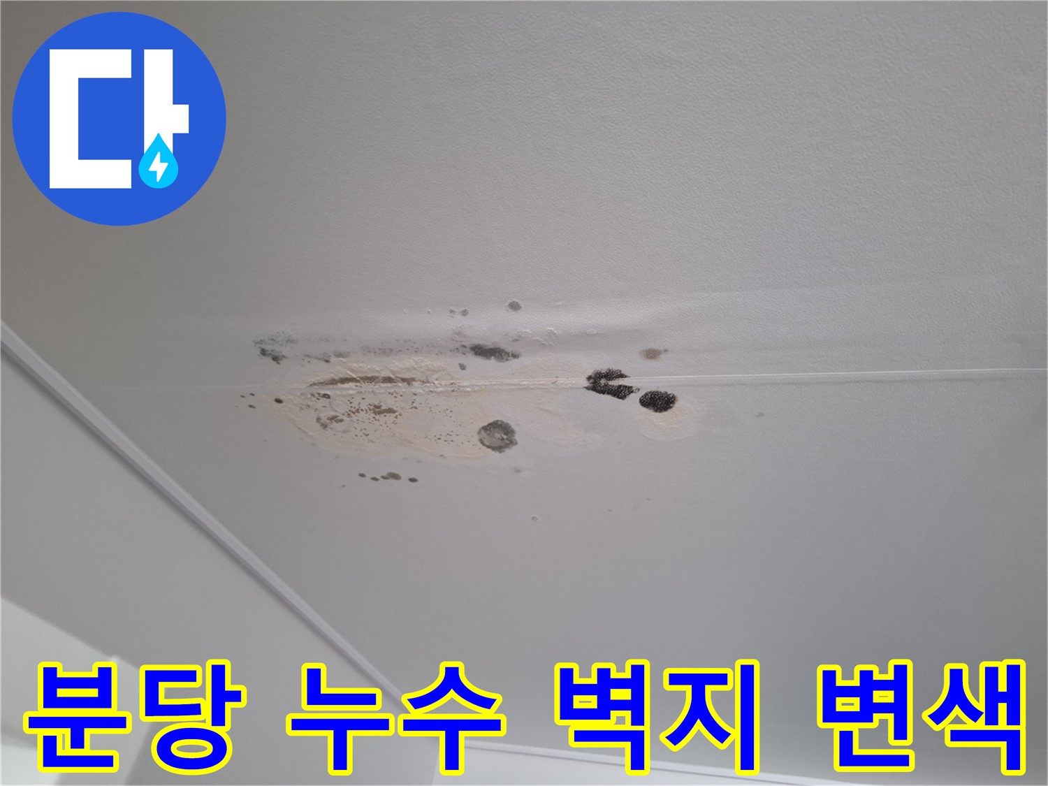 누수 - 벽지 변색 시작, 누수 의심!