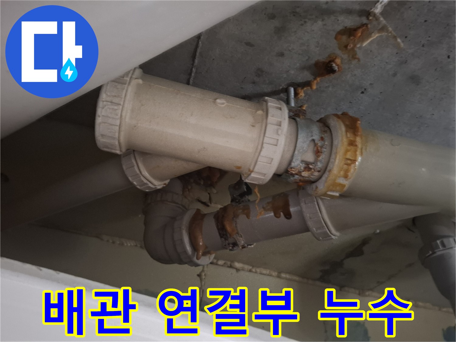 배관 연결부 누수 - 하수 배관 연결 부위에서 물이 새어 나오는 것을 자세히 보여주는 사진입니다.