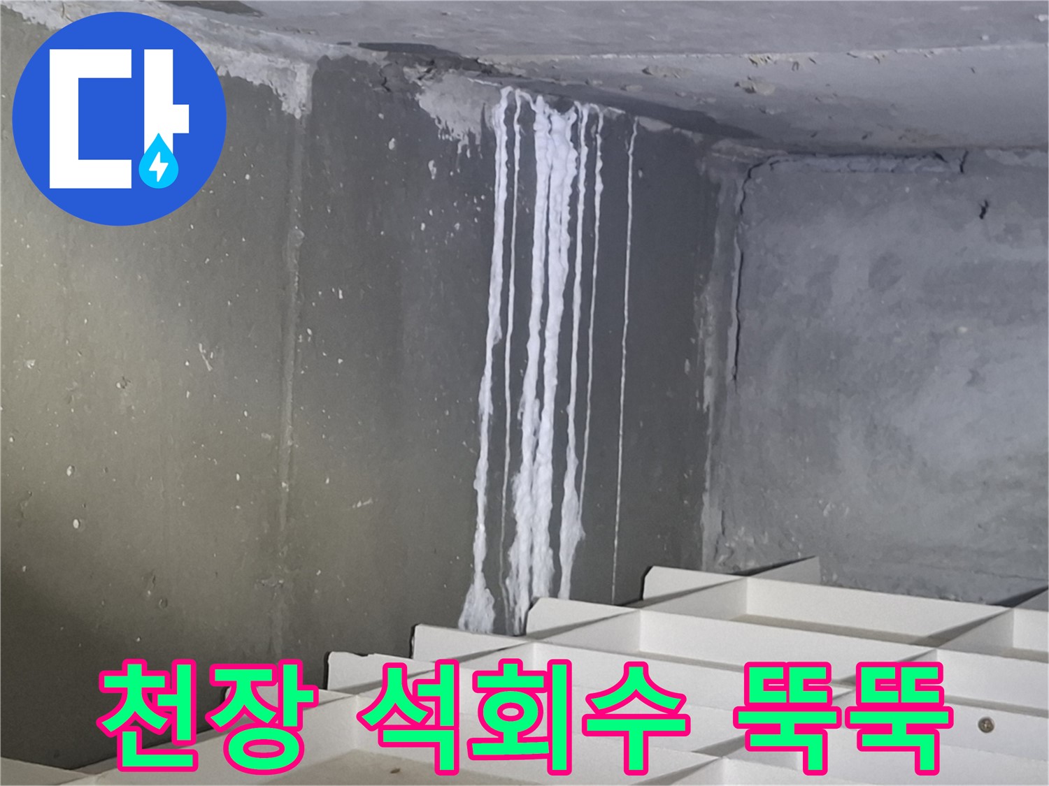 봇들마을2단지 아파트 누수 - 천장에서 석회수가 뚝뚝 떨어지는 모습