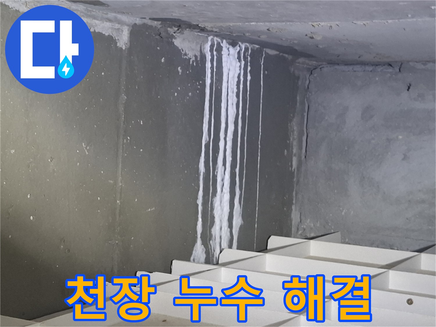 봇들마을2단지 - 천장 누수, 누수 해결 전문가가 나섰다!