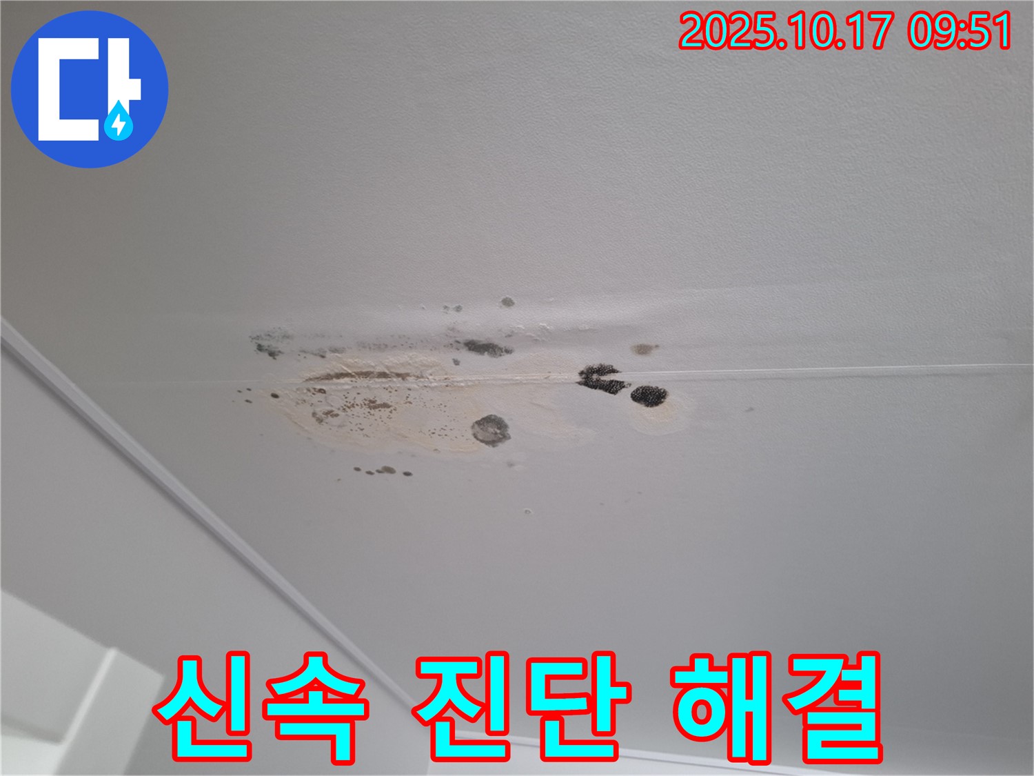 분당 누수 - 곰팡이 심한 천장 - 신속한 진단과 해결이 중요