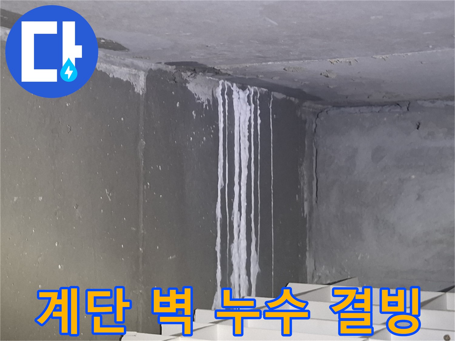 분당 봇들마을 건물 계단 벽 누수 - 겨울철 결빙 위험