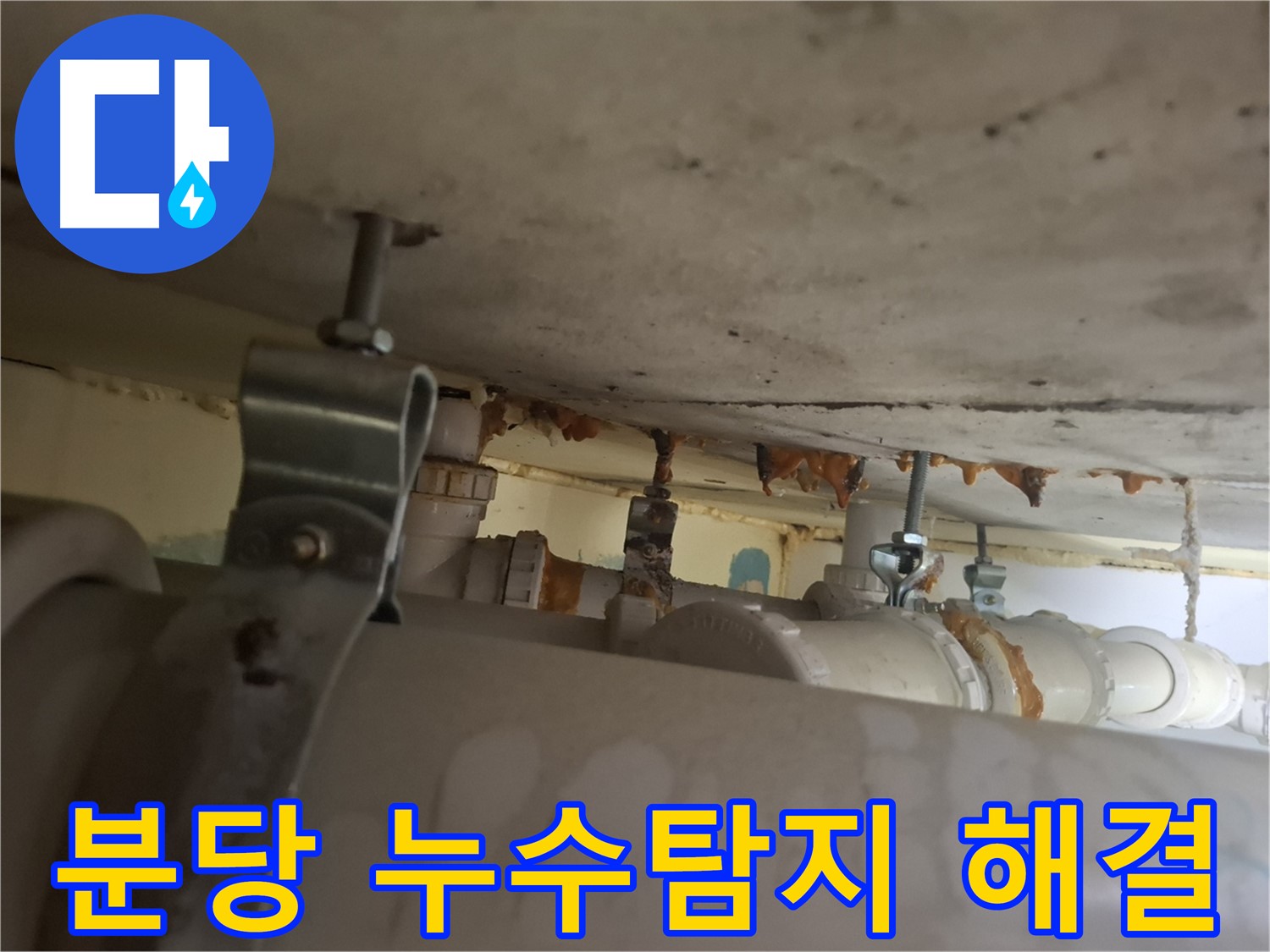 분당 누수탐지 전문 업체 - 삼평동 봇들마을 아파트 누수 완벽 해결
