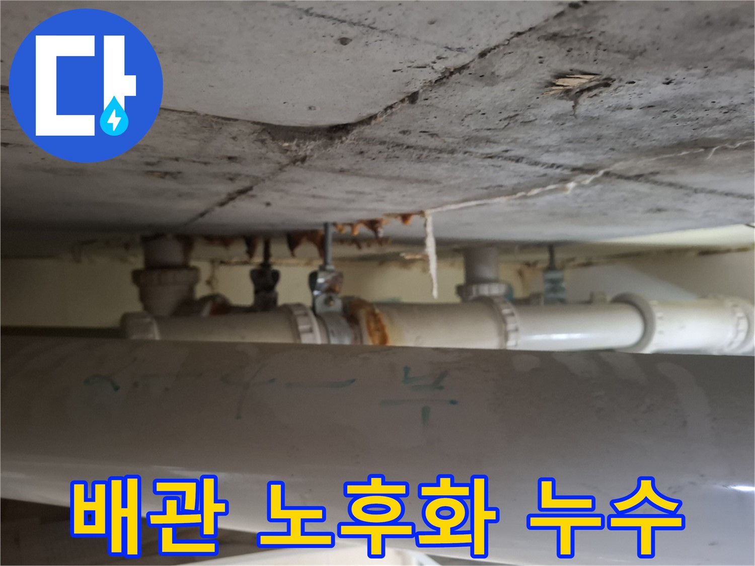 분당 봇들마을 2단지 아파트 - 천장 배관 노후화로 인한 누수 발생