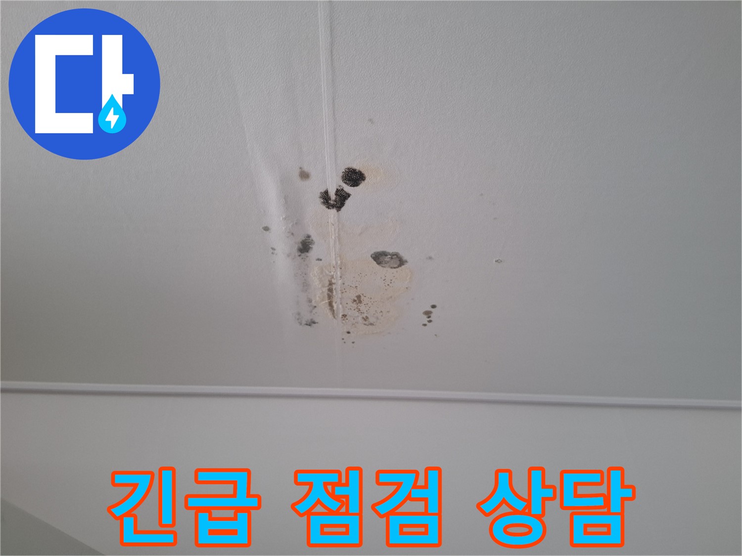 분당 봇들마을 봇들마을2단지 아파트 - 천장 누수 긴급 점검 및 친절한 상담을 제공합니다.