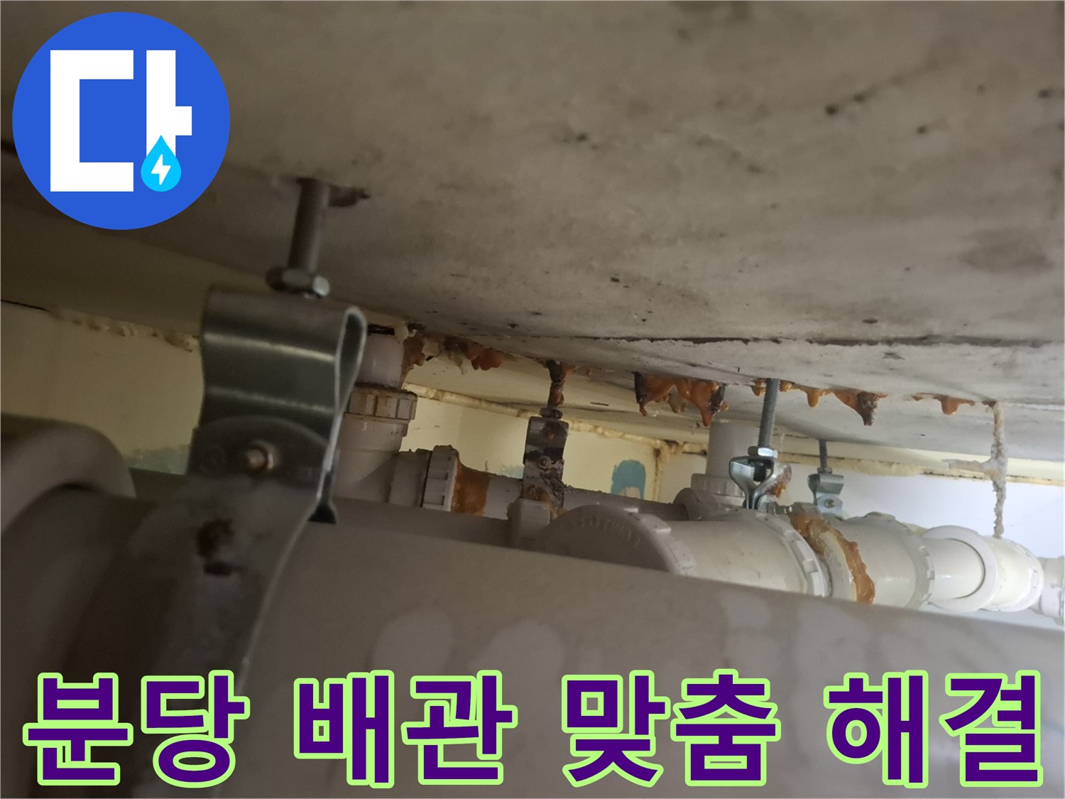 분당 봇들마을 아파트 - 배관 상태 확인, 맞춤형 해결책 제시