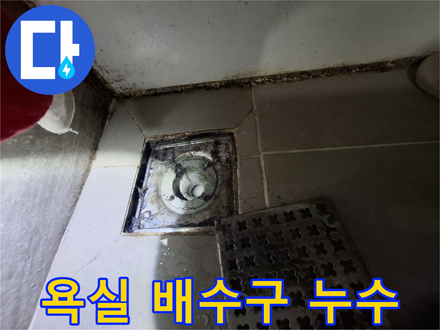분당 봇들마을 아파트 욕실 배수구 누수 - 문제 해결 과정 상세 기록