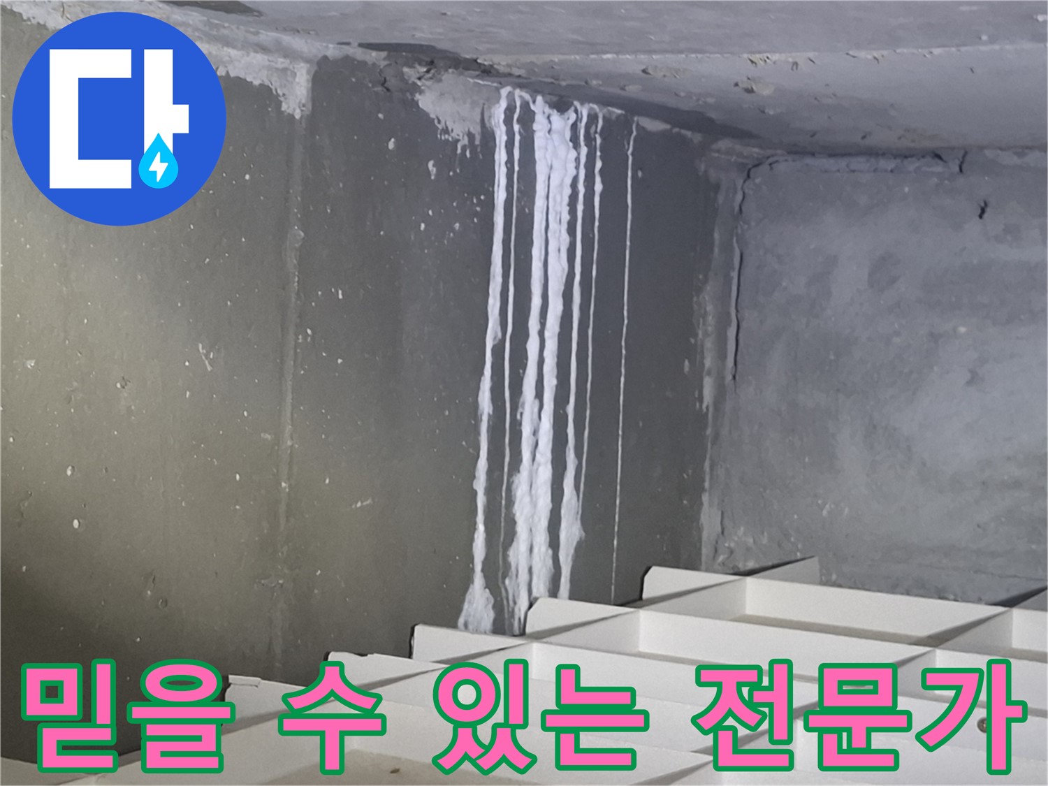 분당 봇들마을 아파트 - 지하 누수, 믿을 수 있는 누수 전문가에게 맡기세요!