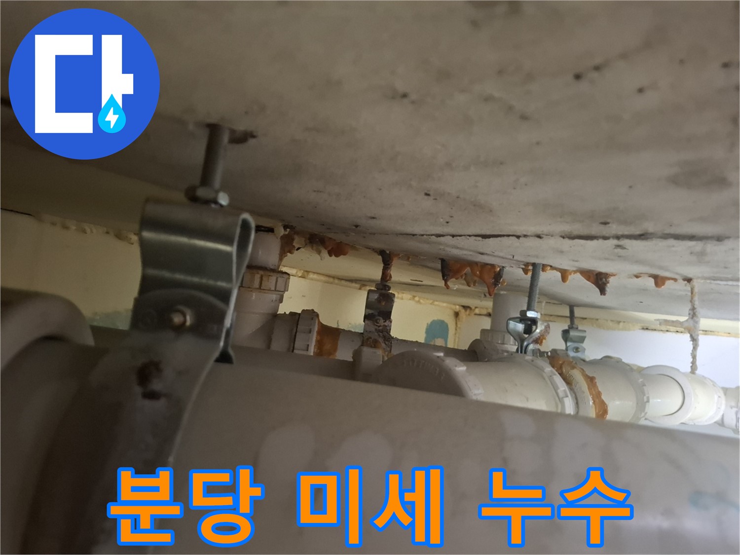 분당 봇들마을 아파트 - 천장 배관 연결 부위 미세 누수 흔적 발견