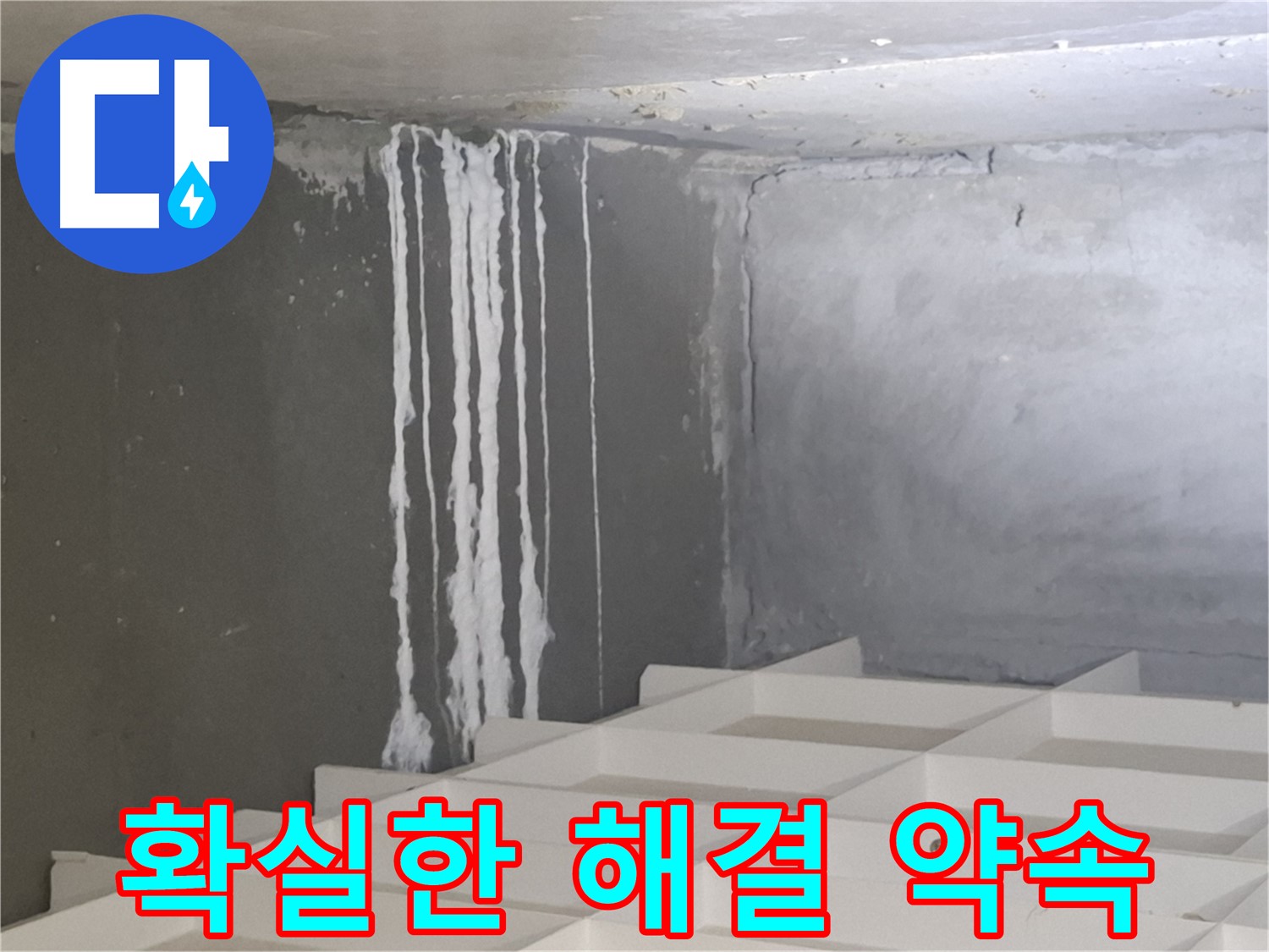 분당 삼평동 누수 - 곰팡이와 백화 현상에 대한 확실한 해결을 약속하는 전문 업체의 자신감