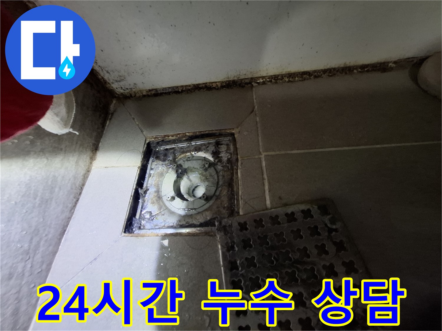 분당 삼평동 봇들마을 욕실 배수구 누수 - 24시간 언제든지 상담 가능