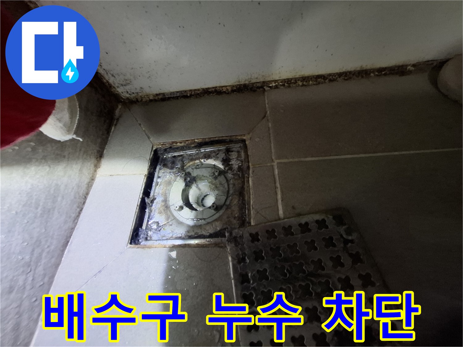 분당 삼평동 봇들마을 욕실 배수구 누수 - 완벽한 차단 시공