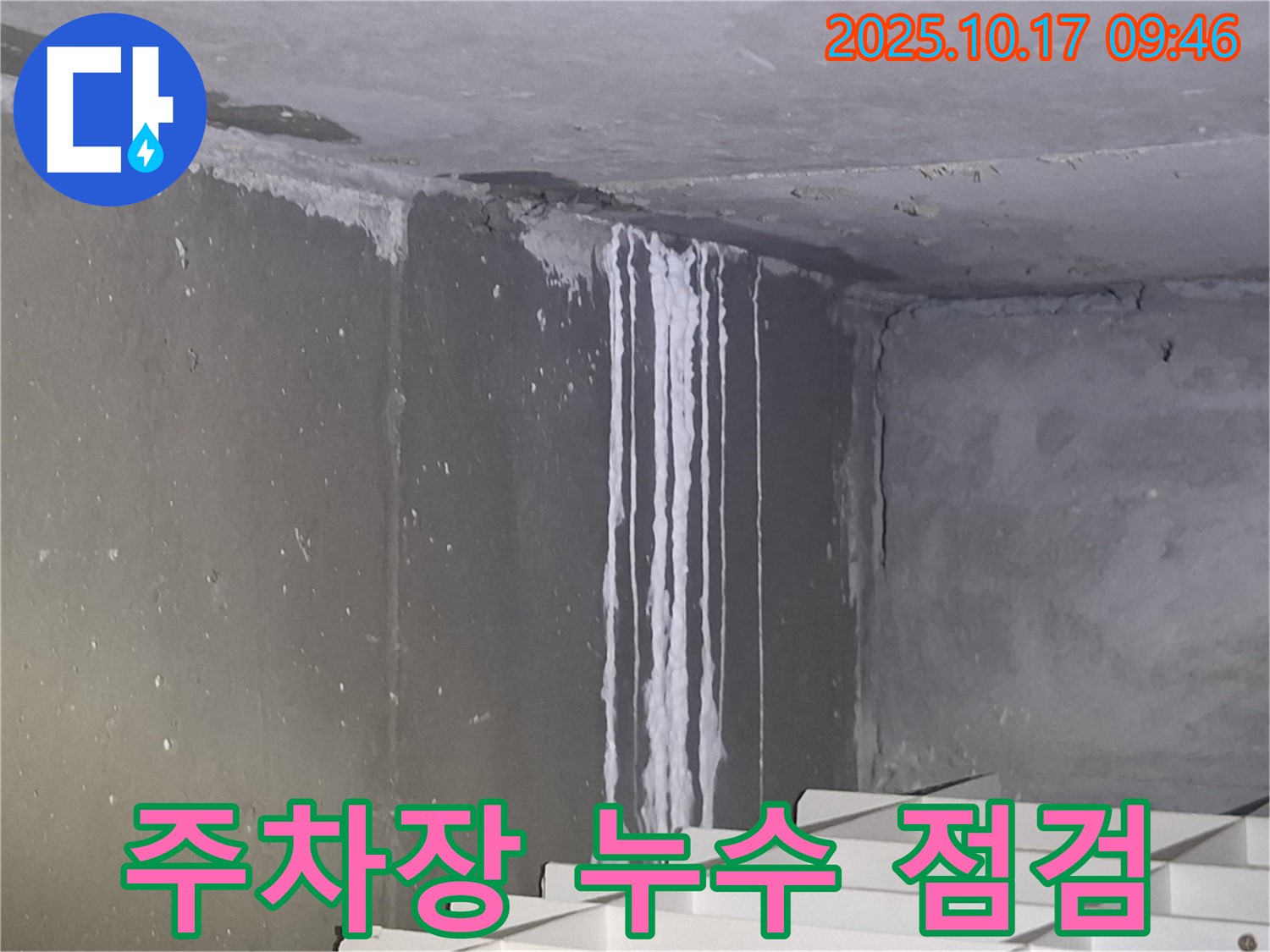 분당 삼평동 봇들마을2단지 아파트 지하주차장 누수 긴급 점검 - 천장의 석회 자국은 누수의 오랜 진행을 나타냅니다.