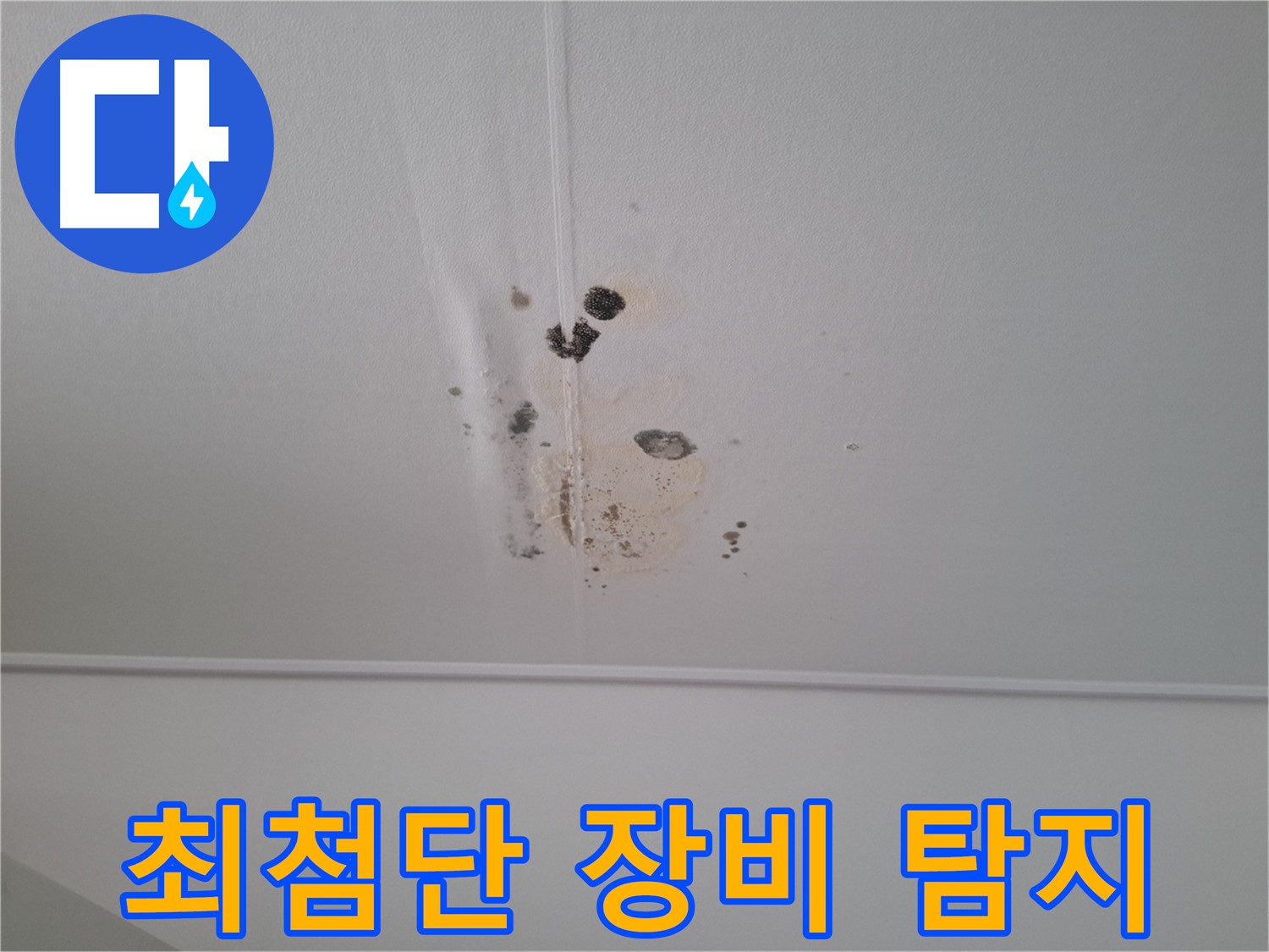 분당 삼평동 봇들마을2단지 아파트 - 최첨단 누수 탐지 장비를 사용하여 정확하게 누수 지점을 찾아냅니다.