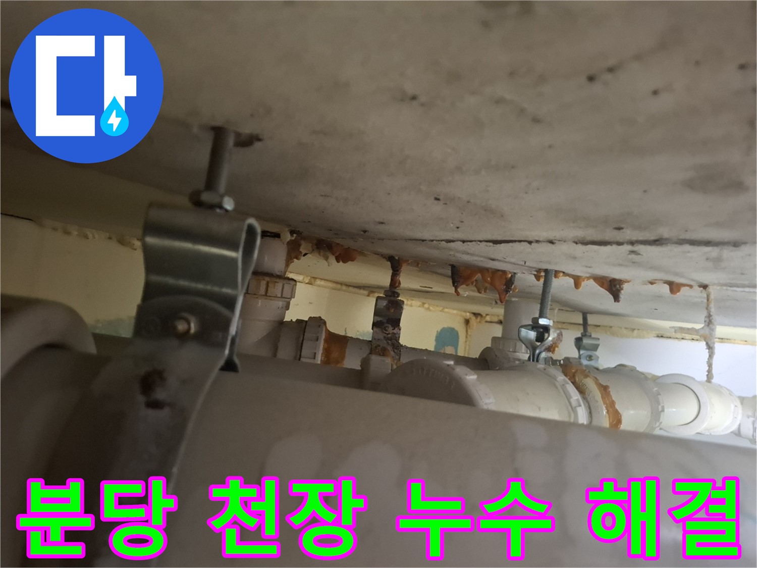 분당 삼평동 아파트 천장 누수 해결 - 누수 원인부터 완벽 차단까지