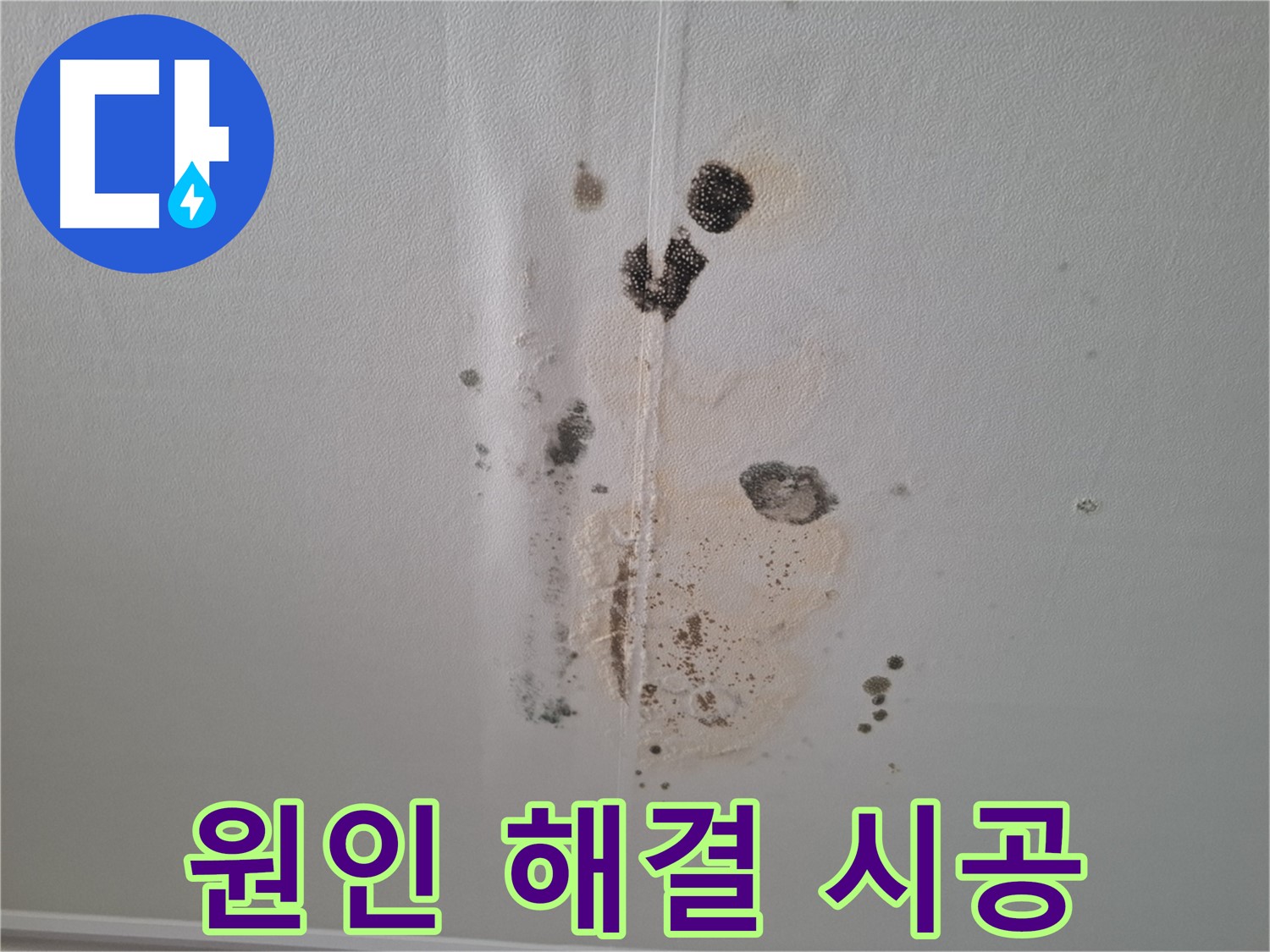 분당 아파트 누수 - 곰팡이 문제 원인부터 해결까지 책임 시공