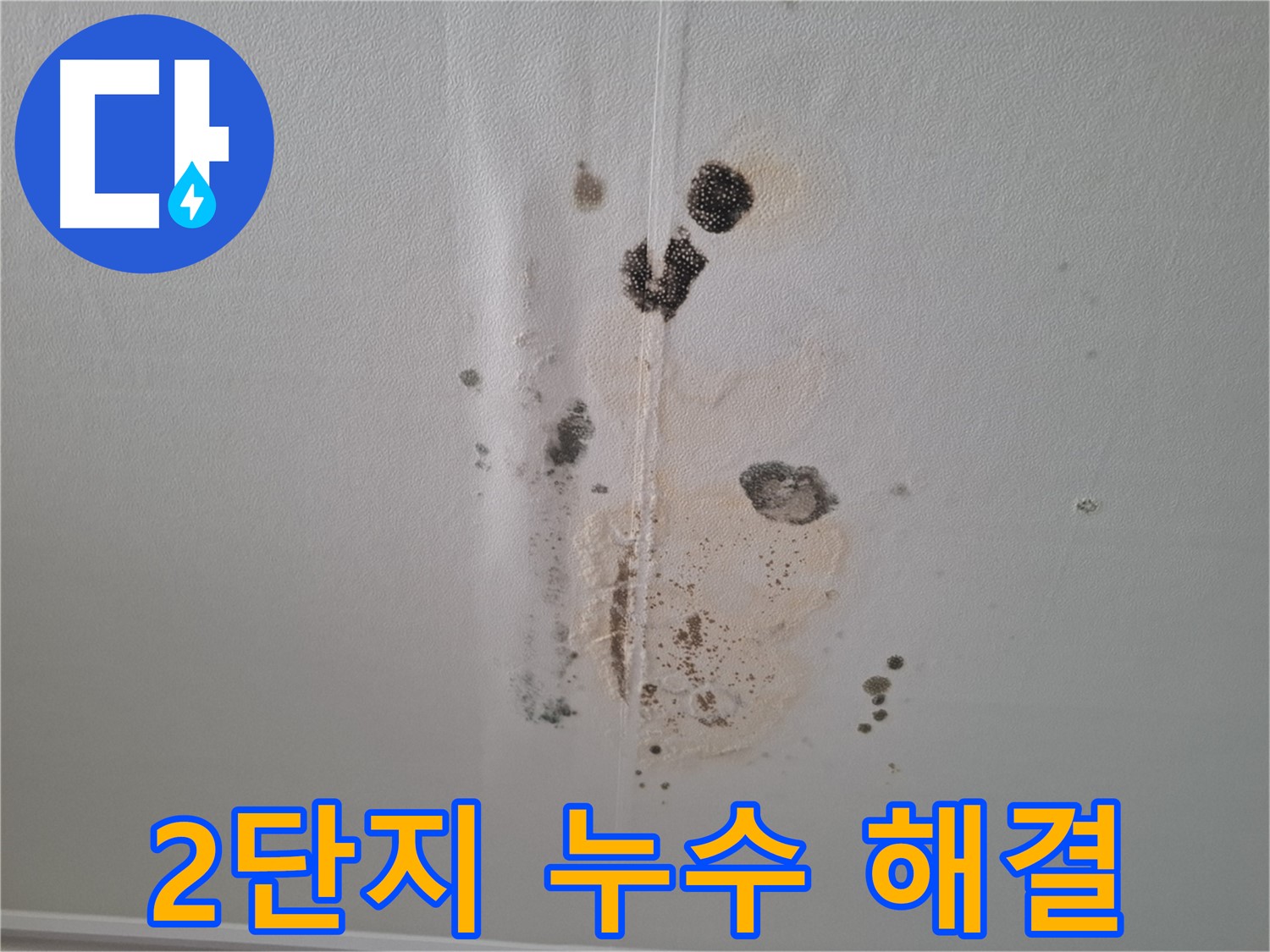분당 아파트 누수 - 봇들마을 2단지 누수 해결 전문가