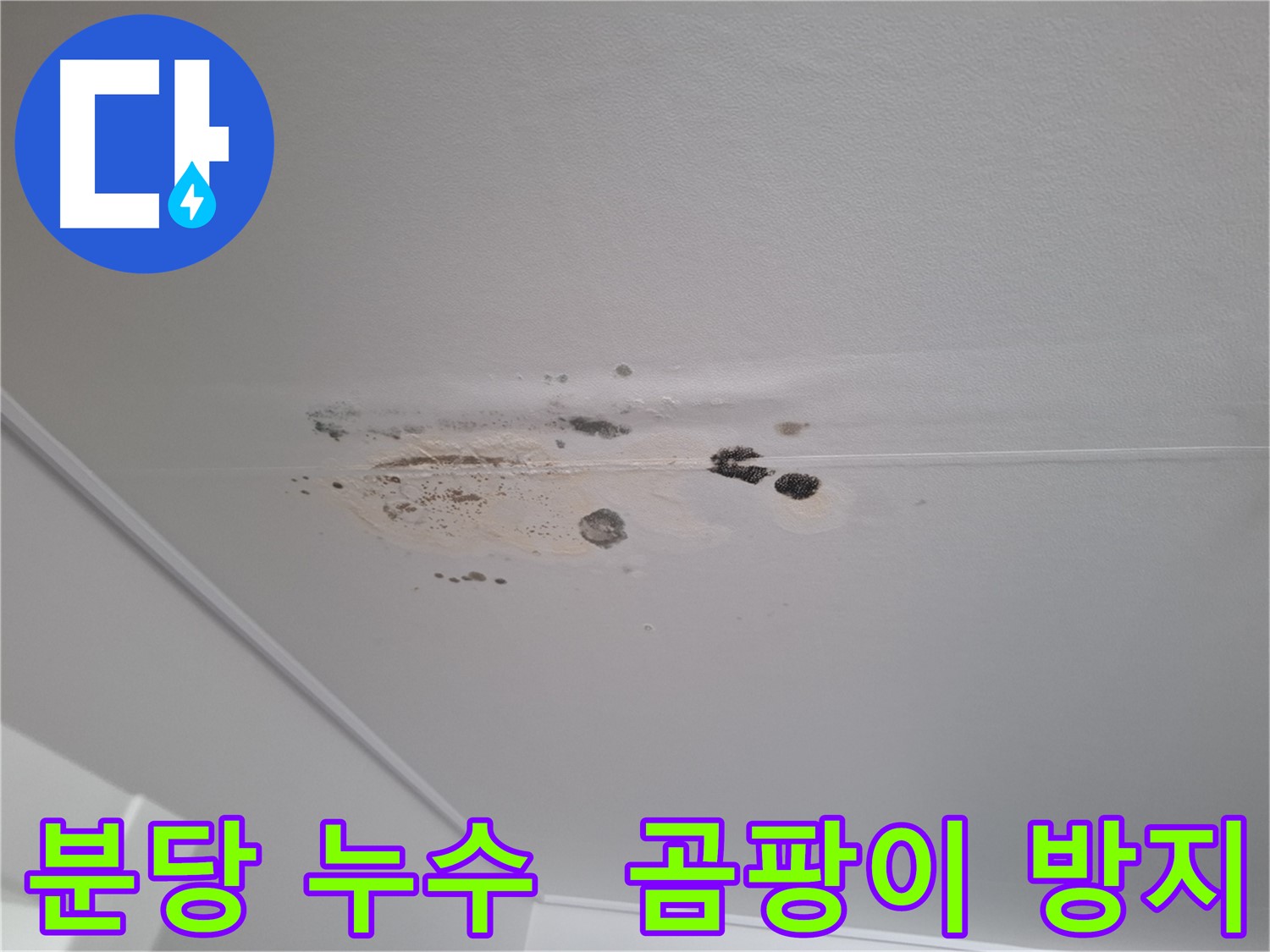 분당 아파트 누수 후 곰팡이 제거 및 친환경 시공 - 쾌적한 실내 환경 조성