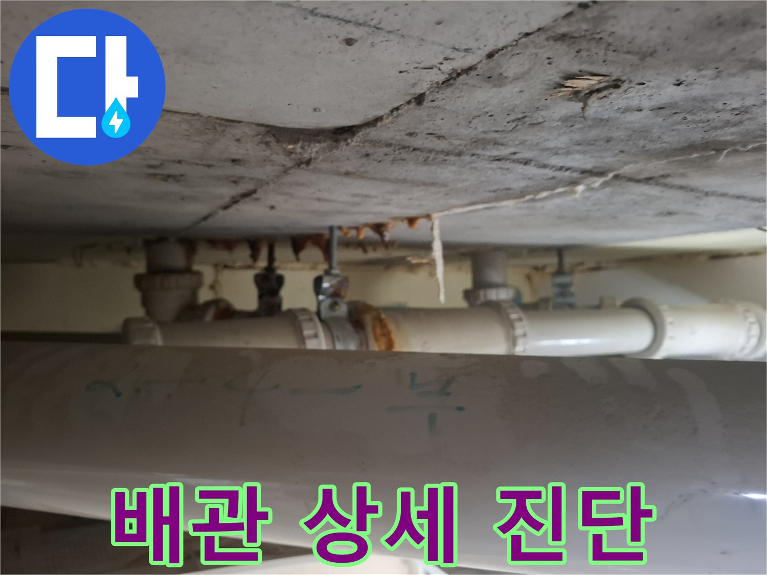 분당 정든마을 아파트 - 점검구 내부 배관 상태 상세 진단 및 조치