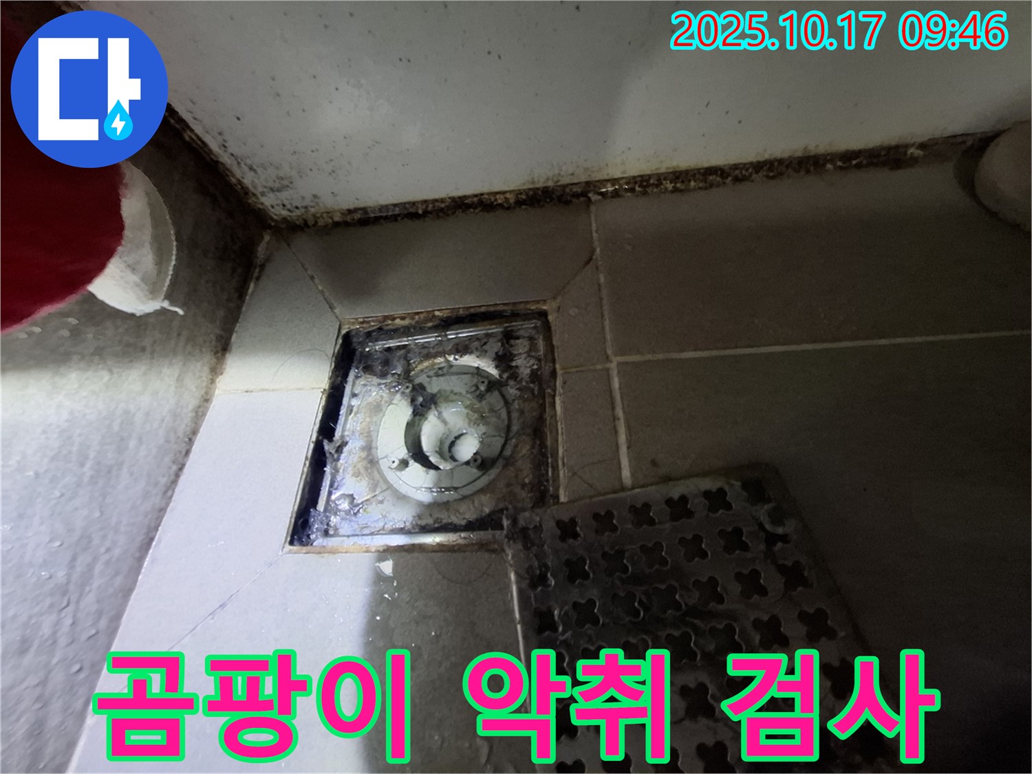 분당 판교 봇들마을2단지 아파트 - 욕실 곰팡이와 악취 - 누수 가능성 정밀 검사 - 쾌적한 욕실 환경을 위한 첫걸음.