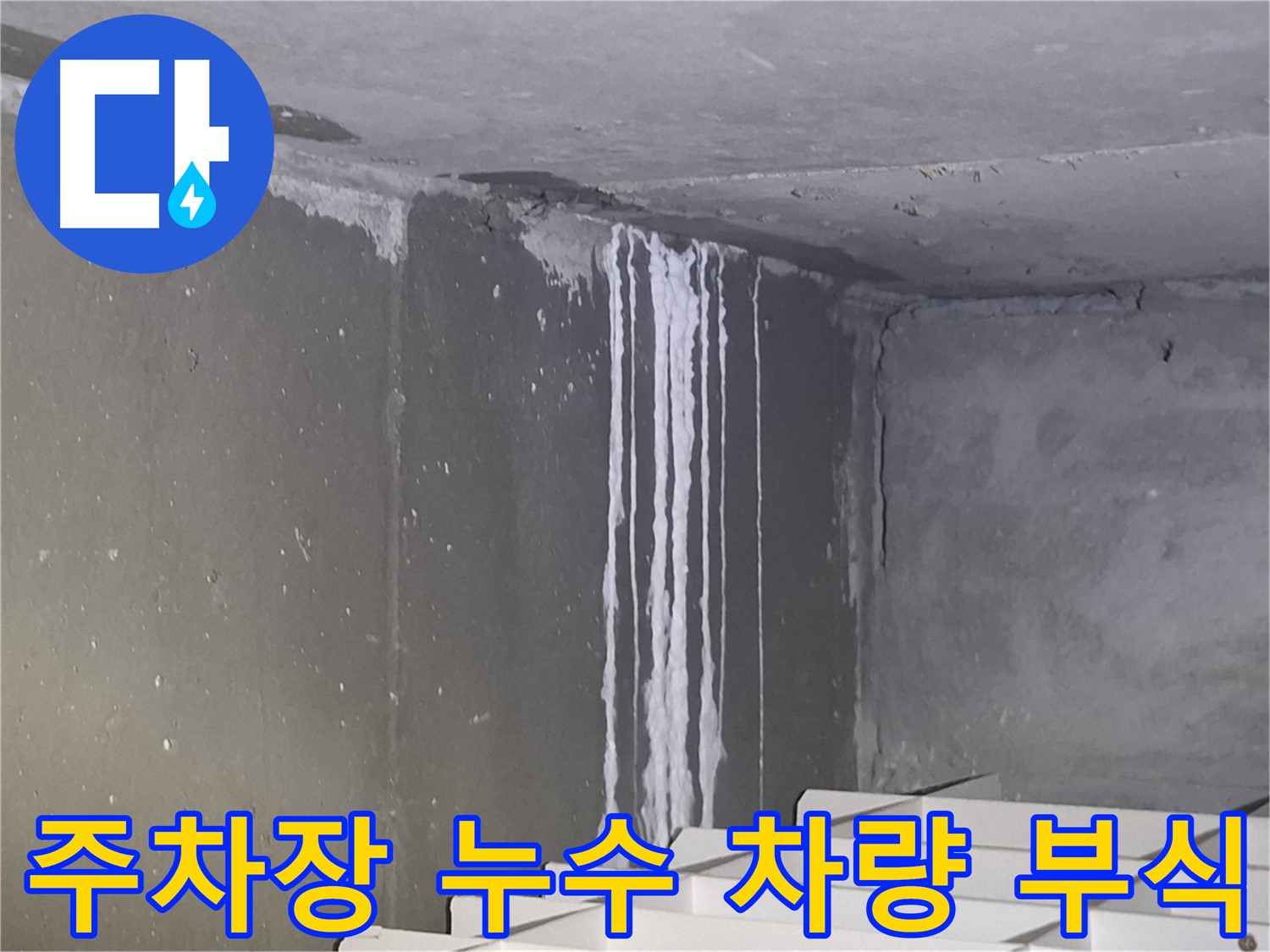 분당구 봇들마을 지하 주차장 누수 - 차량 부식 위험