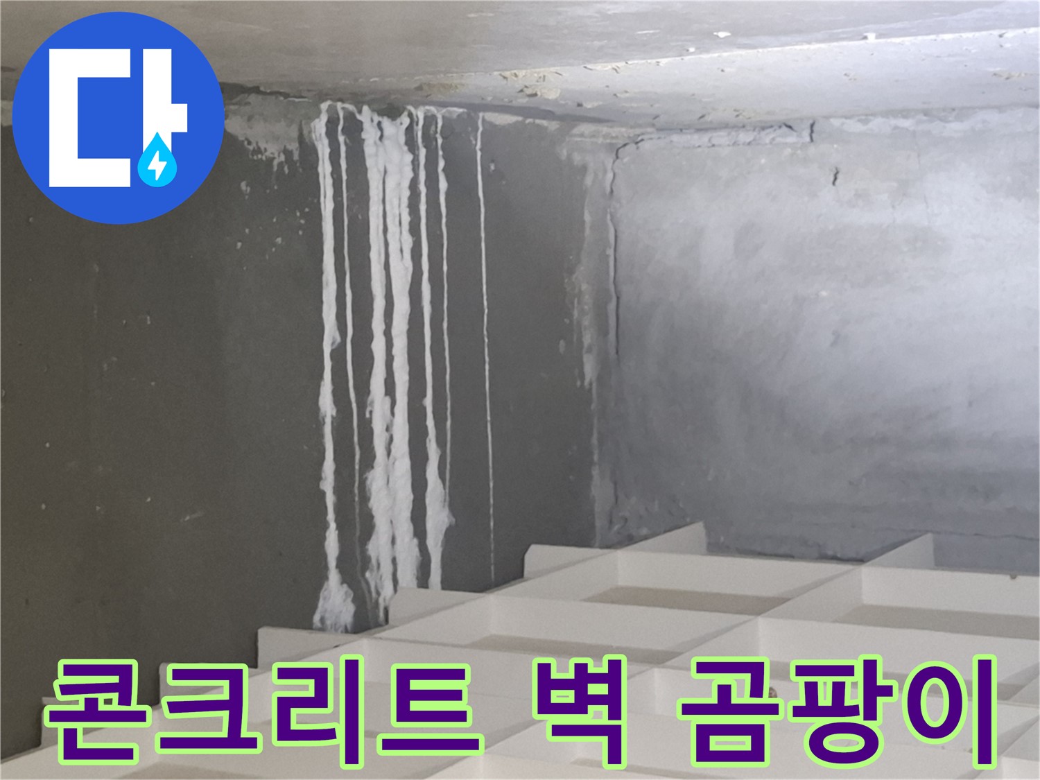 분당구 삼평동 누수 현장 - 콘크리트 벽에 핀 하얀 곰팡이, 결로 현상과 누수 가능성 진단