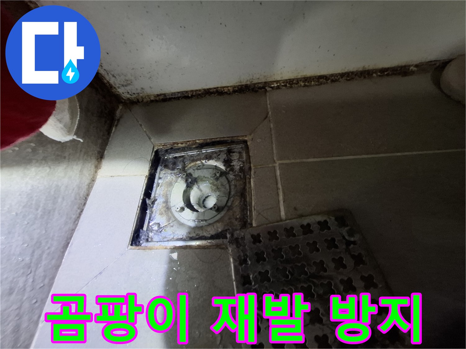 분당구 삼평동 봇들마을2단지 - 곰팡이 완벽 제거, 재발 방지 책임 시공