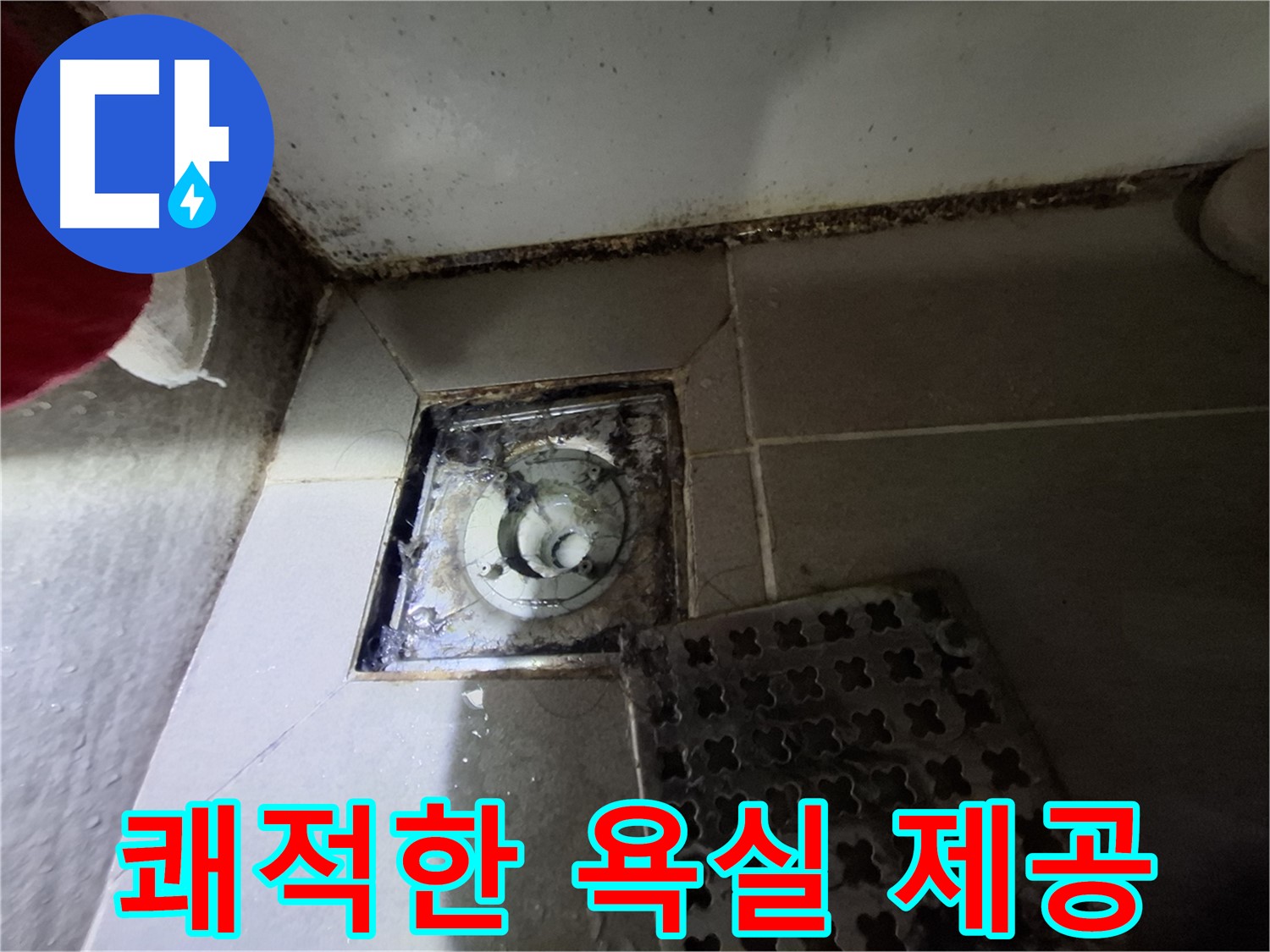 삼평동 717 봇들마을2단지 욕실 - 곰팡이와 악취 - 꼼꼼하게 해결 - 쾌적한 욕실