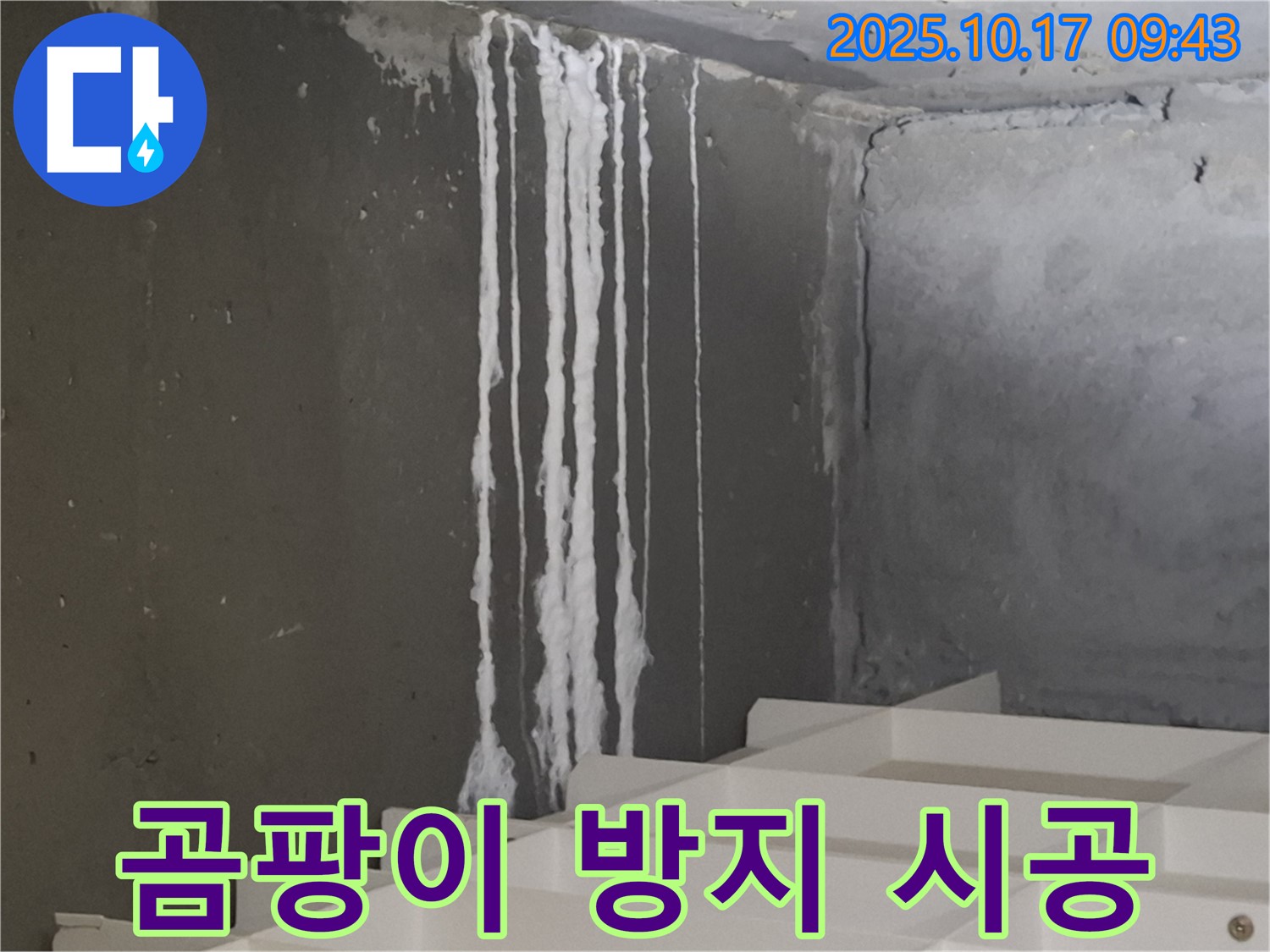 삼평동 봇들마을2단지 아파트 계단 석회수 누수 - 곰팡이 방지 시공 서비스