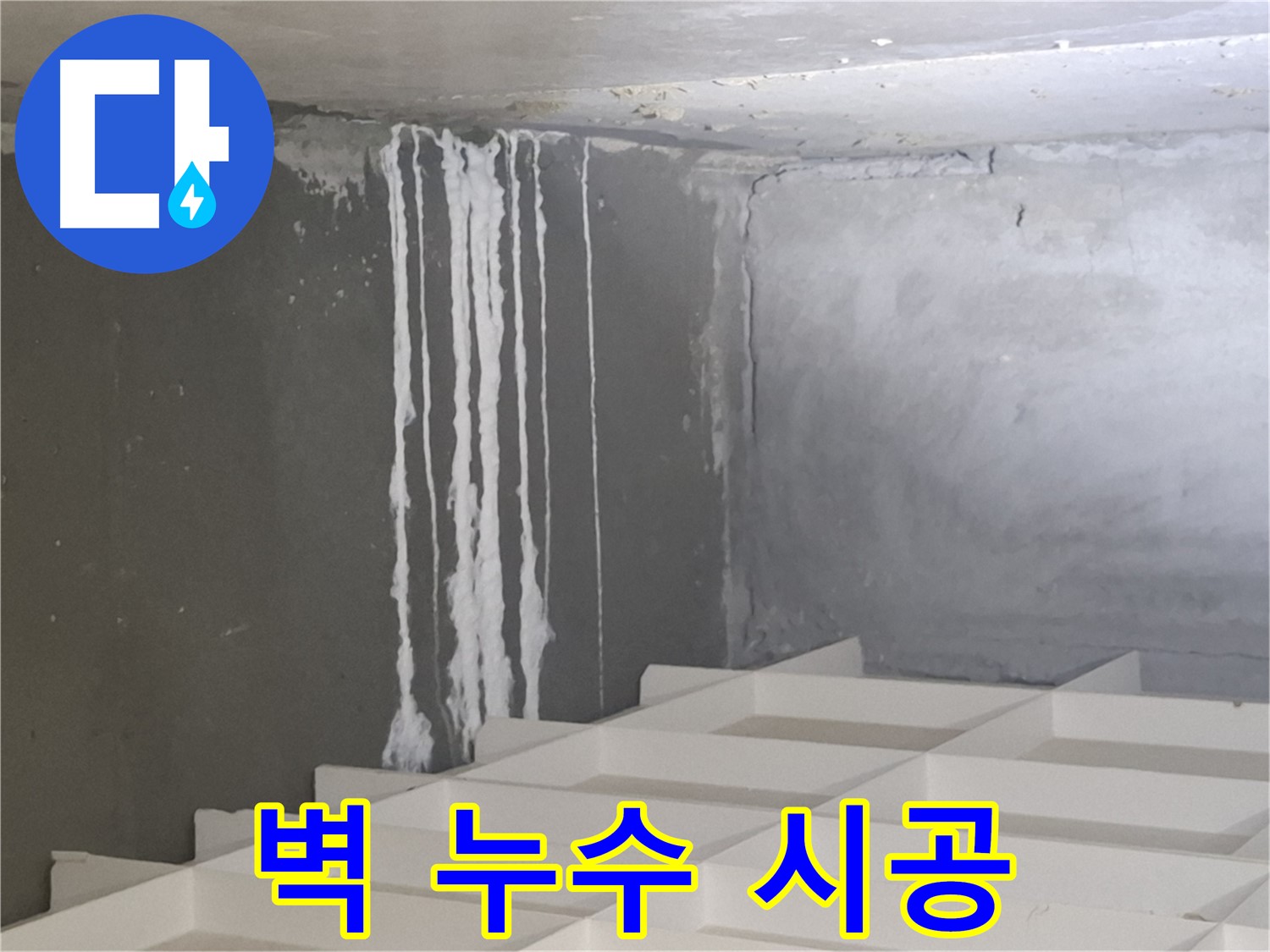 삼평동 아파트 누수 - 콘크리트 벽 누수 문제, 재발 방지를 위한 완벽 시공 노하우 공개