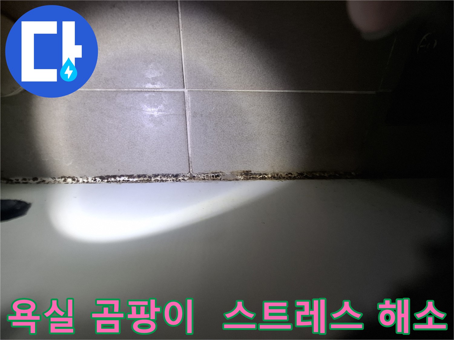 삼평동 아파트 욕실 곰팡이 제거 후 쾌적한 욕실 환경 사진