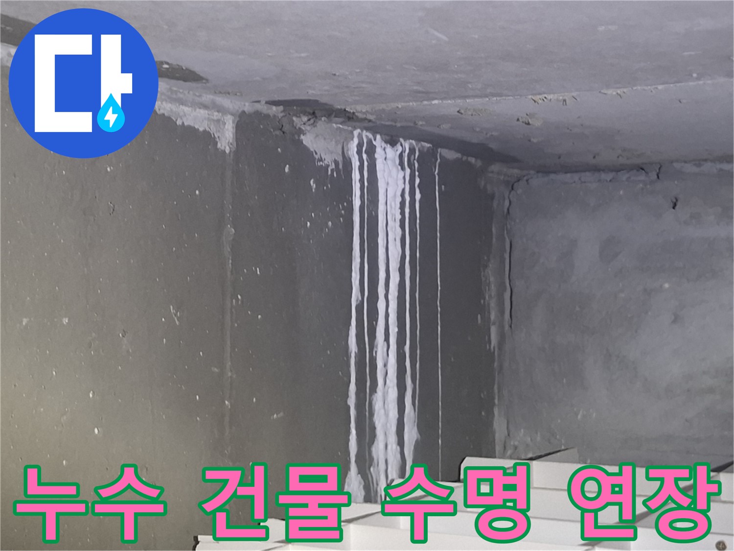 성남 건물 계단 벽 누수 - 건물 수명 연장, 우리가 책임