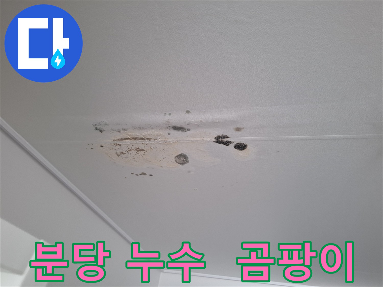 천장 누수와 곰팡이 포자 확산 우려 - 건강 악영향 방지를 위한 빠른 제거 필요