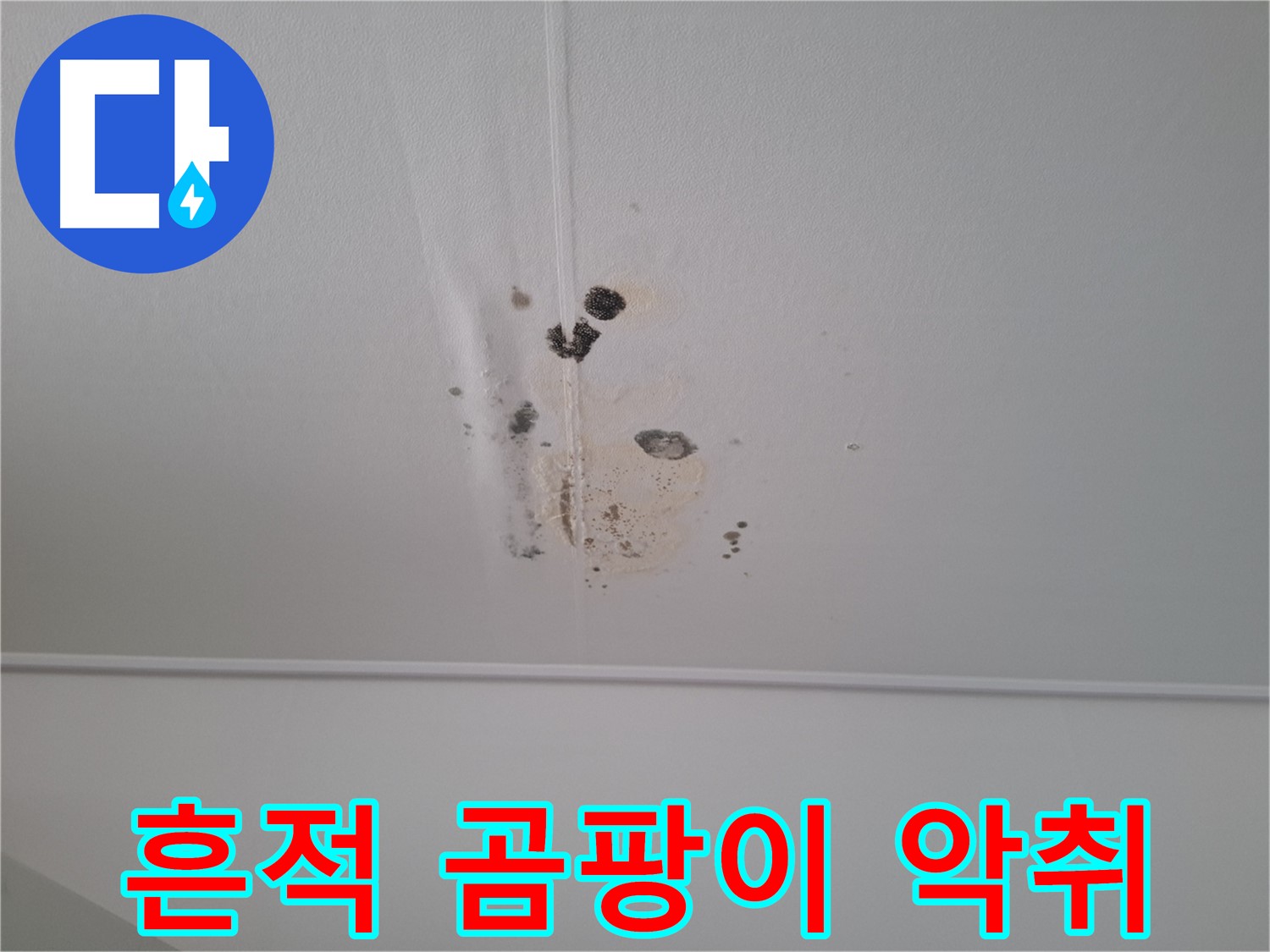 성남 봇들마을 봇들마을2단지 아파트 - 누수 흔적과 곰팡이 발생으로 인한 불쾌한 악취.