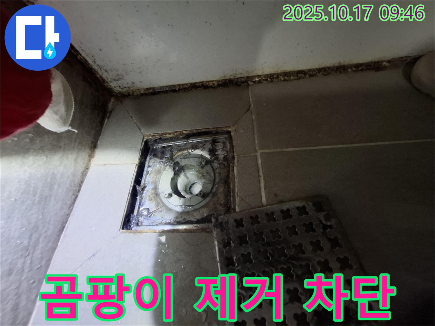 성남 봇들마을 아파트 욕실 배수구 곰팡이 제거 - 누수 완벽 차단 - 책임 시공으로 쾌적한 욕실을 만들어 드립니다.