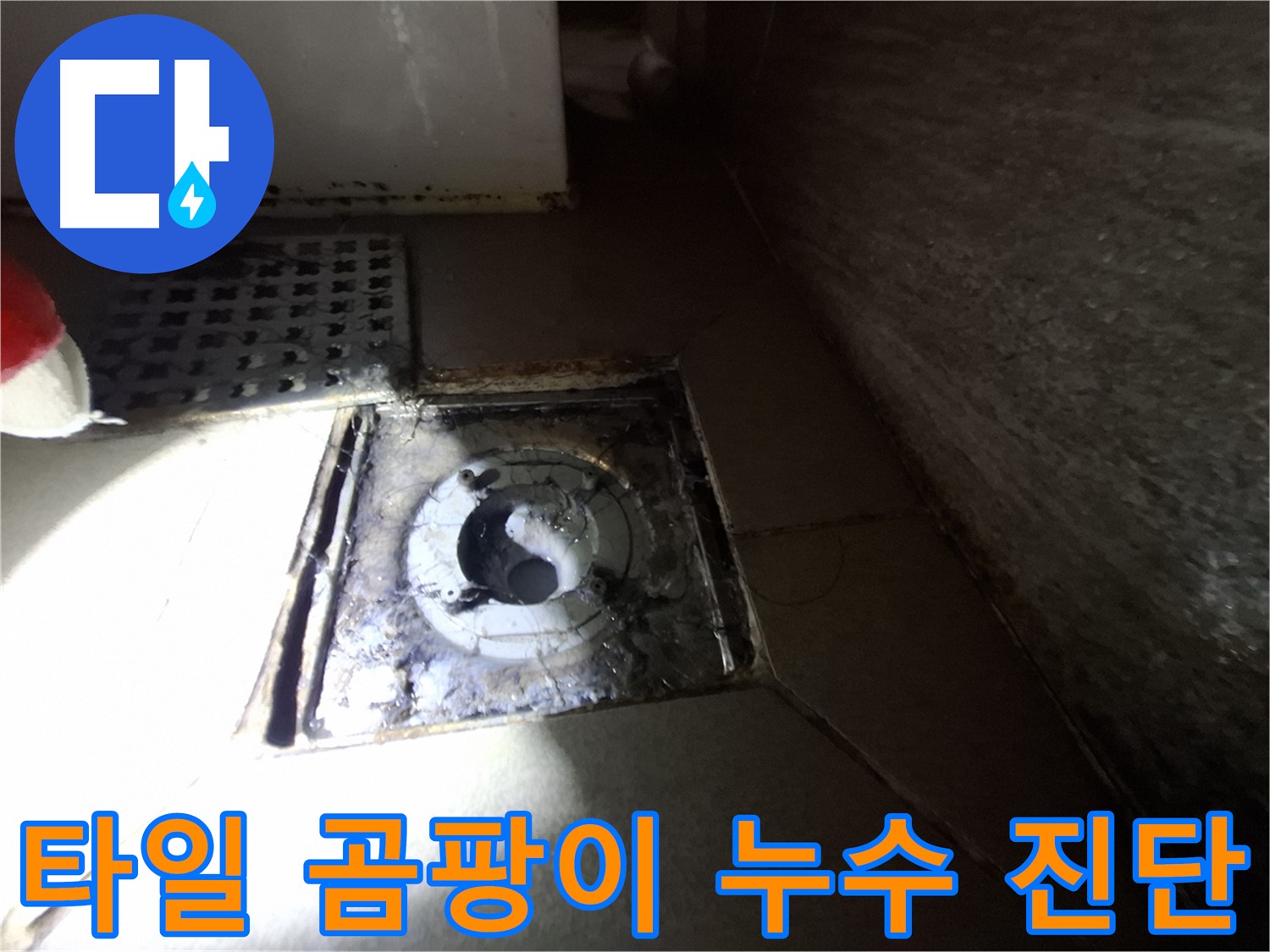성남 봇들마을 욕실 타일 틈새 곰팡이 - 누수 진단으로 원인 분석, 쾌적한 욕실 만들기