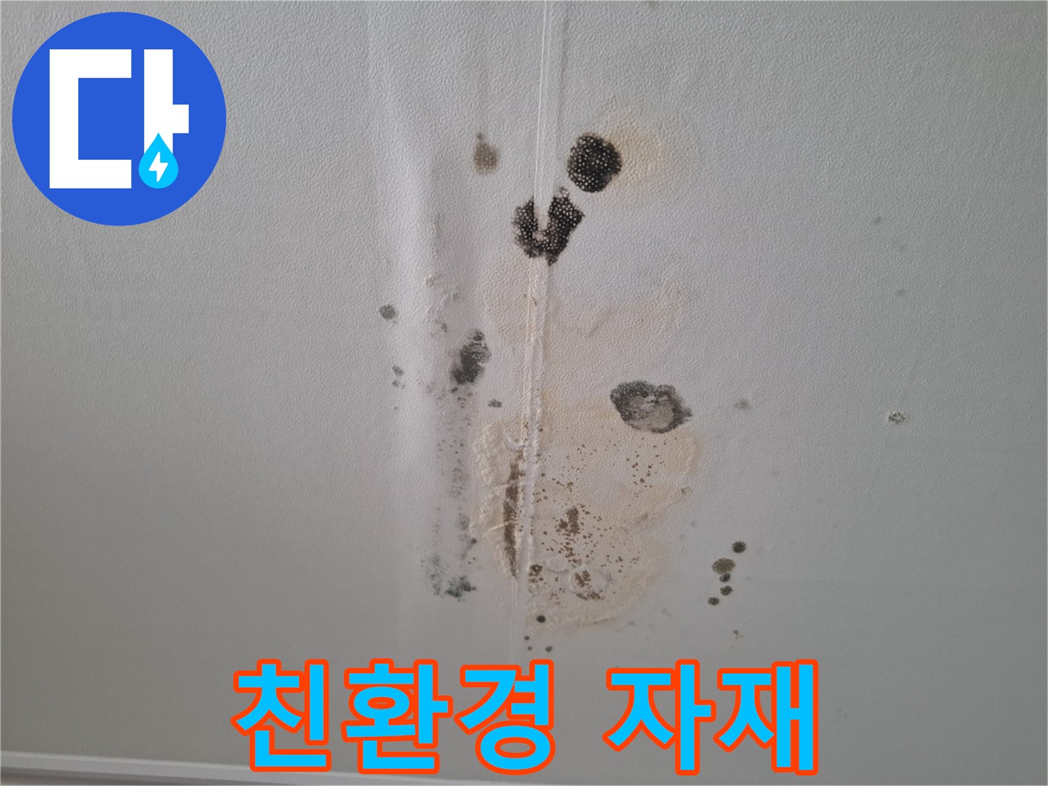 성남 분당 누수 - 곰팡이 문제 친환경 자재 사용으로 안전하게 해결