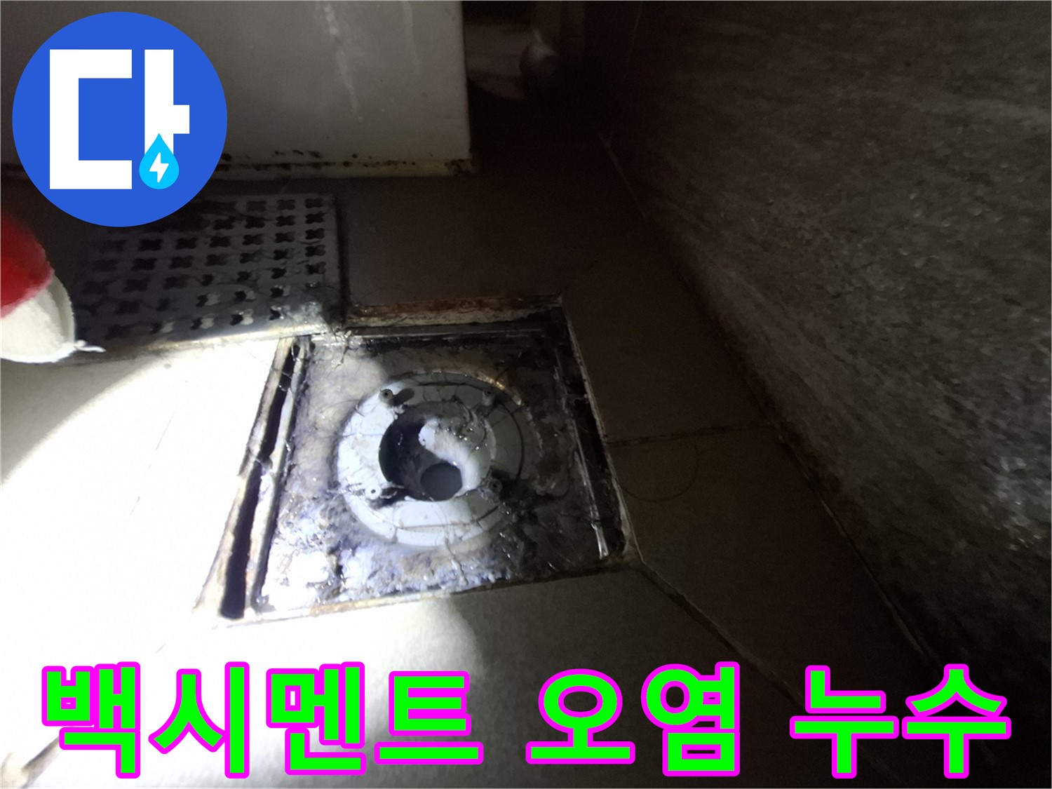 성남 분당 봇들마을 욕실 백시멘트 손실 - 누수 점검, 오염 제거와 함께 꼼꼼하게