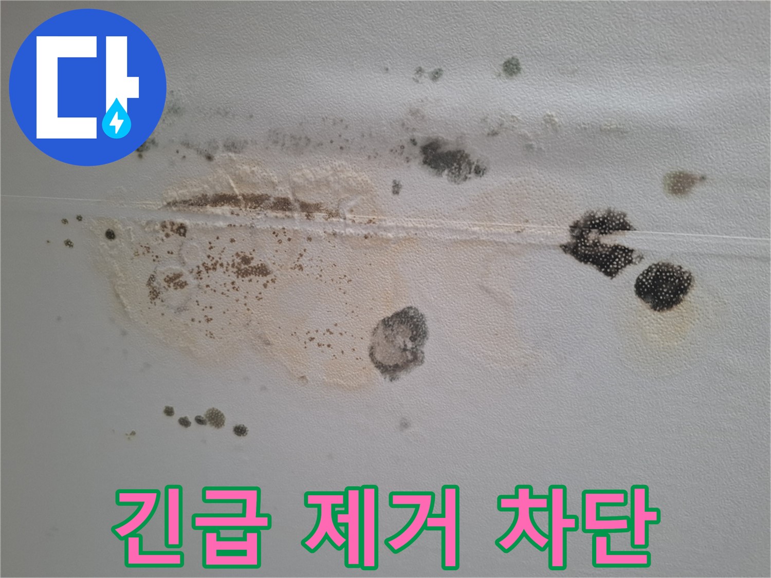 성남 분당 삼평동 누수 - 봇들마을 천장 곰팡이 긴급 제거 및 완벽 차단