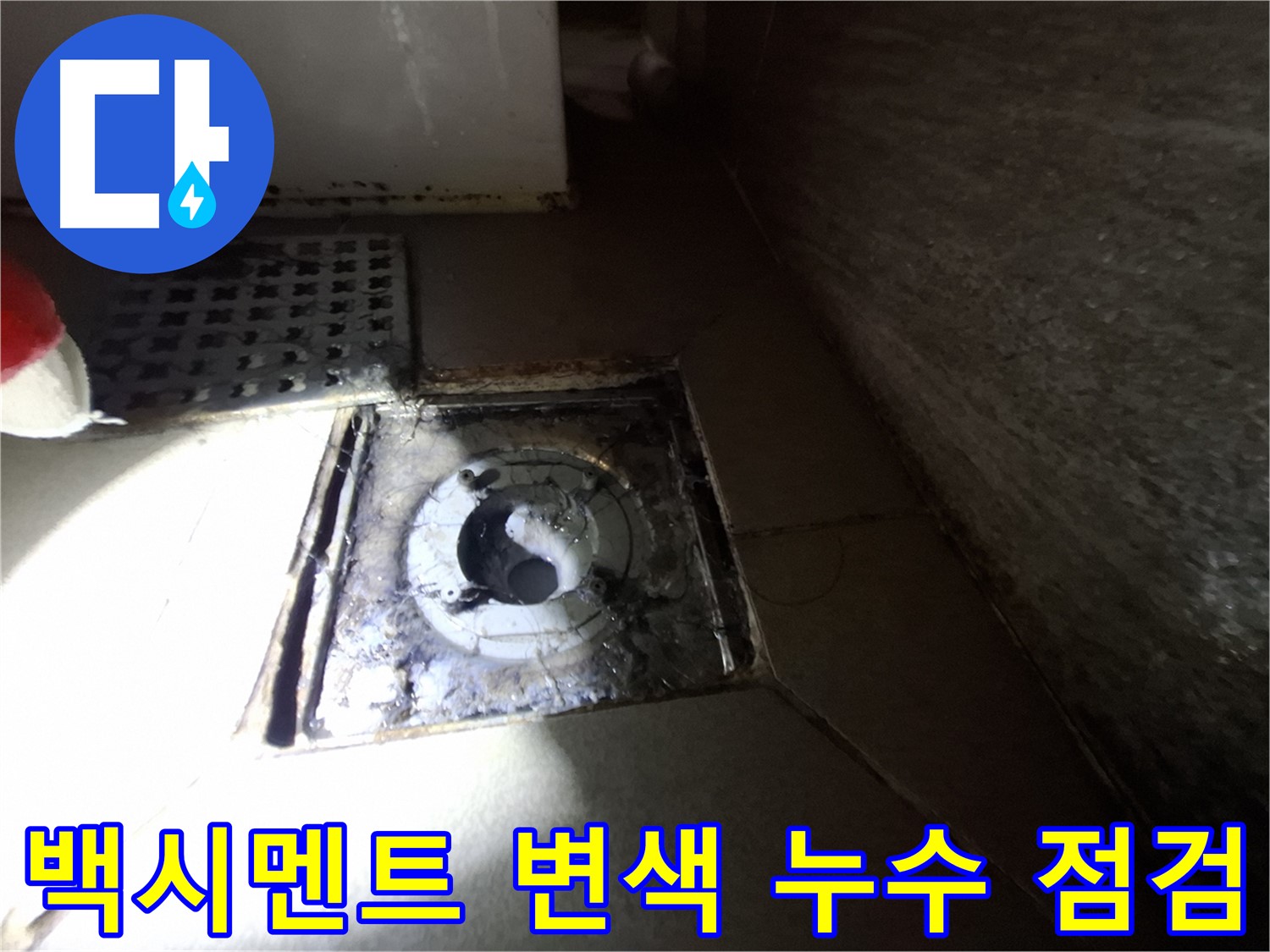 성남 삼평동 욕실 하수구 주변 백시멘트 변색 - 누수 점검으로 문제 해결