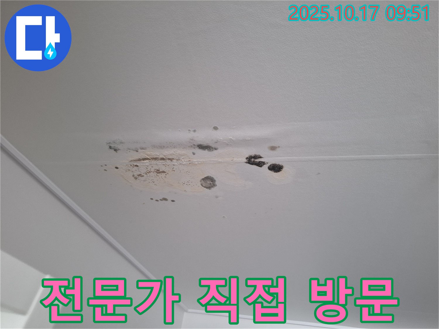성남시 분당구 누수 - 곰팡이 심한 천장 - 누수 해결 전문가 직접 방문