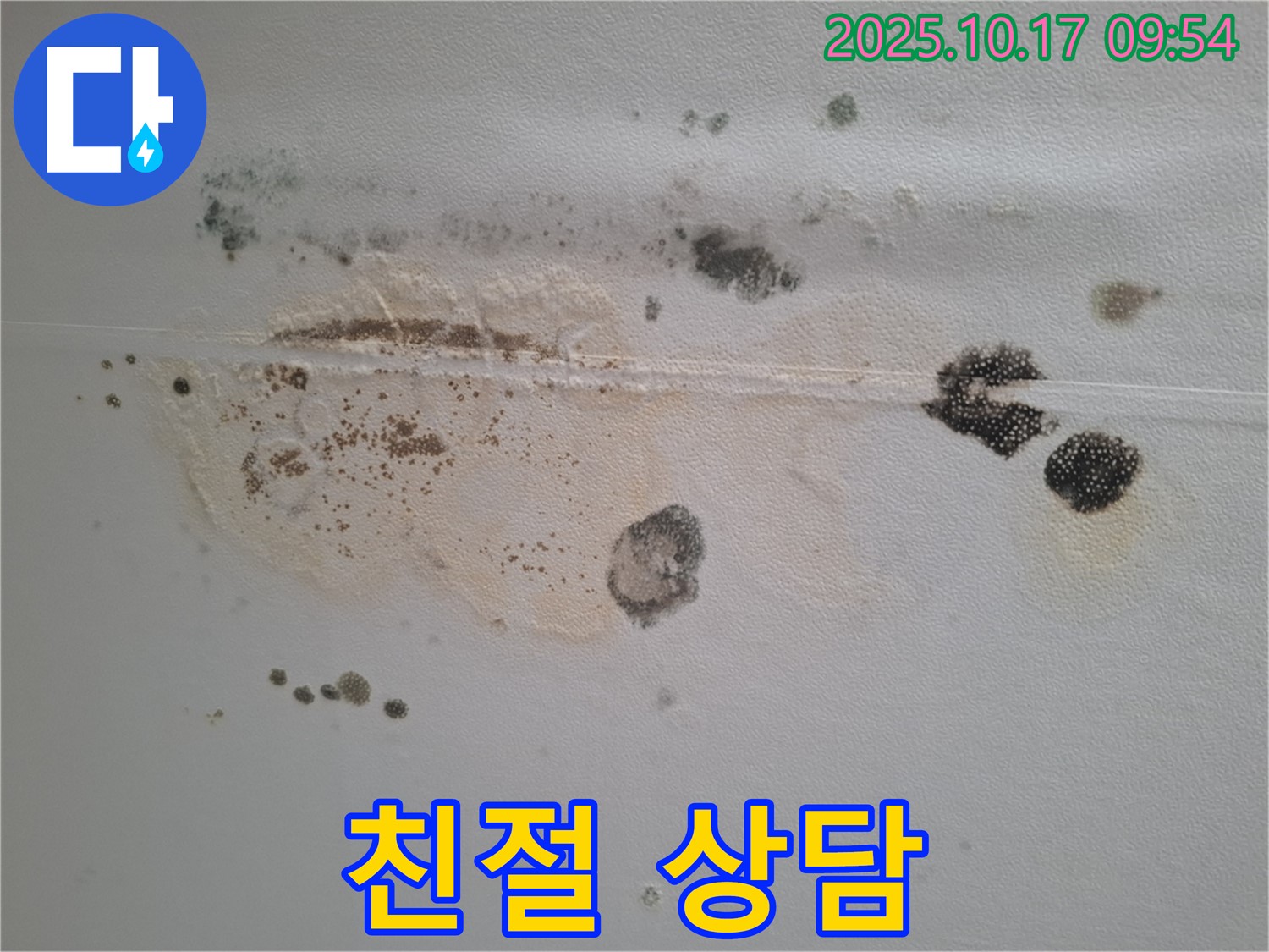 성남시 분당구 봇들마을 아파트 천장 누수 문의 - 친절하고 자세한 상담으로 고객님의 궁금증 해결