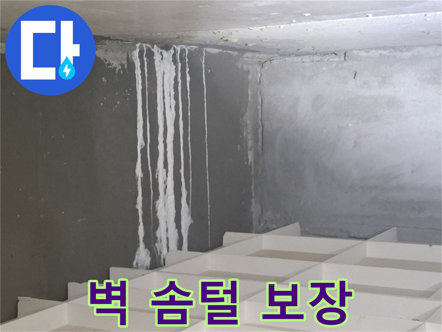 성남시 분당구 삼평동 누수 - 콘크리트 벽에 생긴 솜털 누수 문제, 확실한 해결을 보장하는 전문 업체