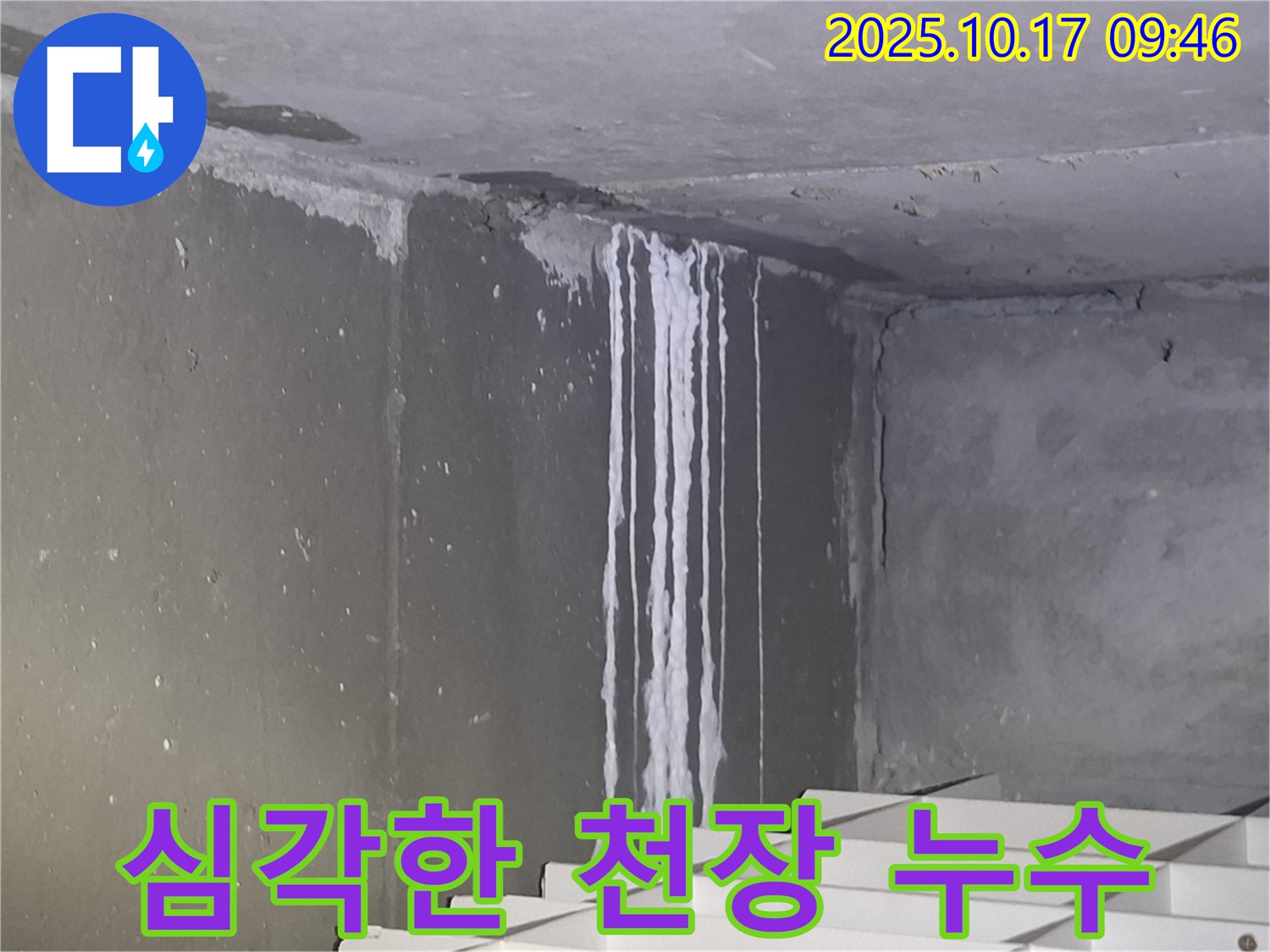 성남시 분당구 삼평동 봇들마을2단지 아파트에서 발견된 심각한 천장 누수 - 천장을 따라 흐르는 석회 성분이 누수의 심각성을 보여줍니다.