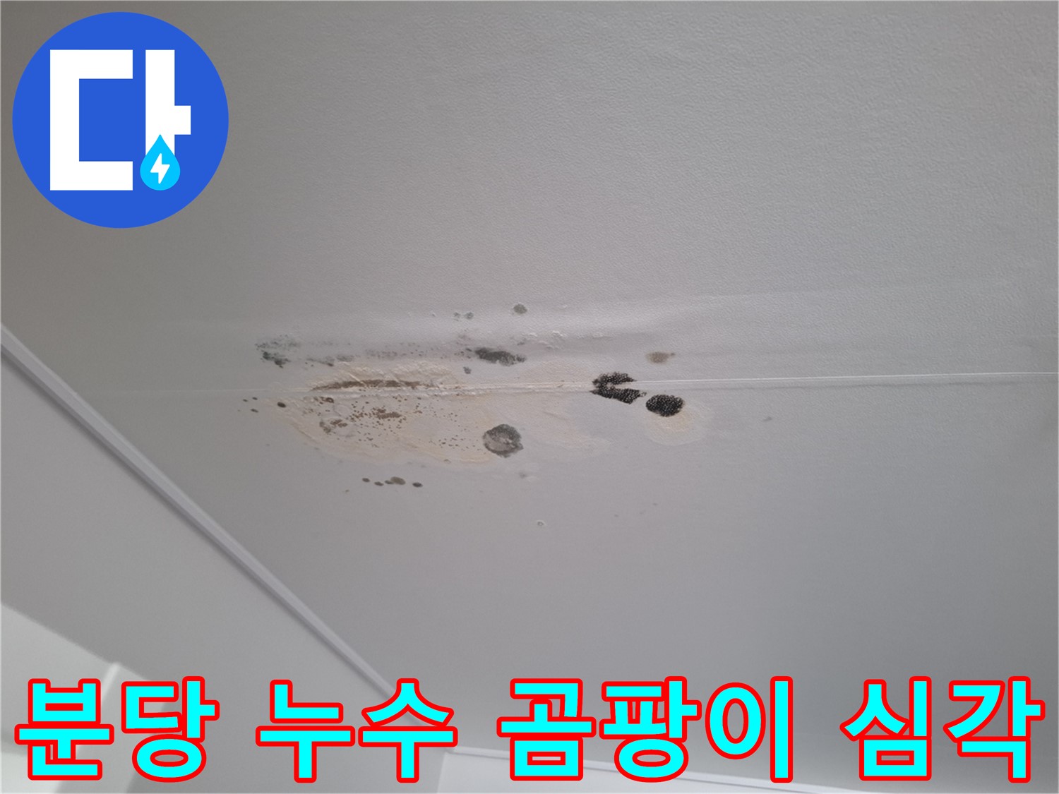 심각한 천장 누수 - 곰팡이 폭탄 직전, 건강 위협
